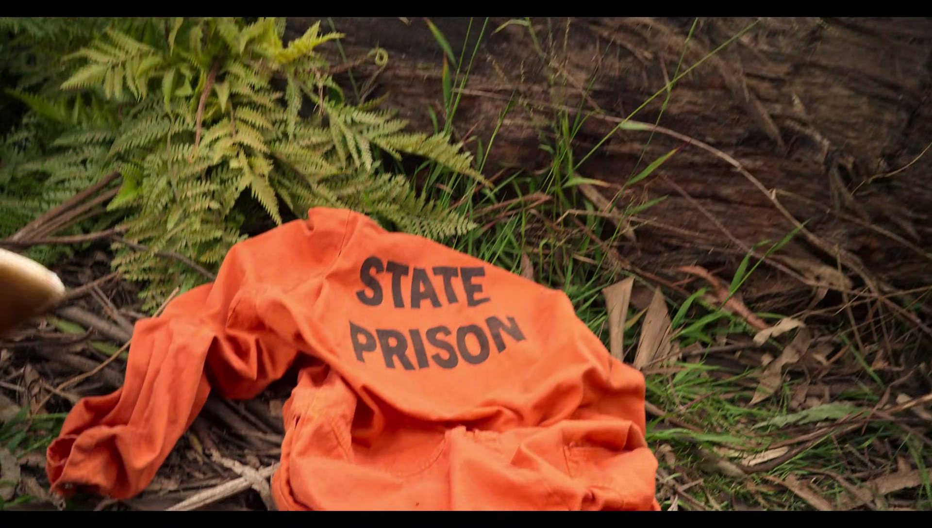 Woody Woodpecker Goes to Camp (2024) screencap 1125