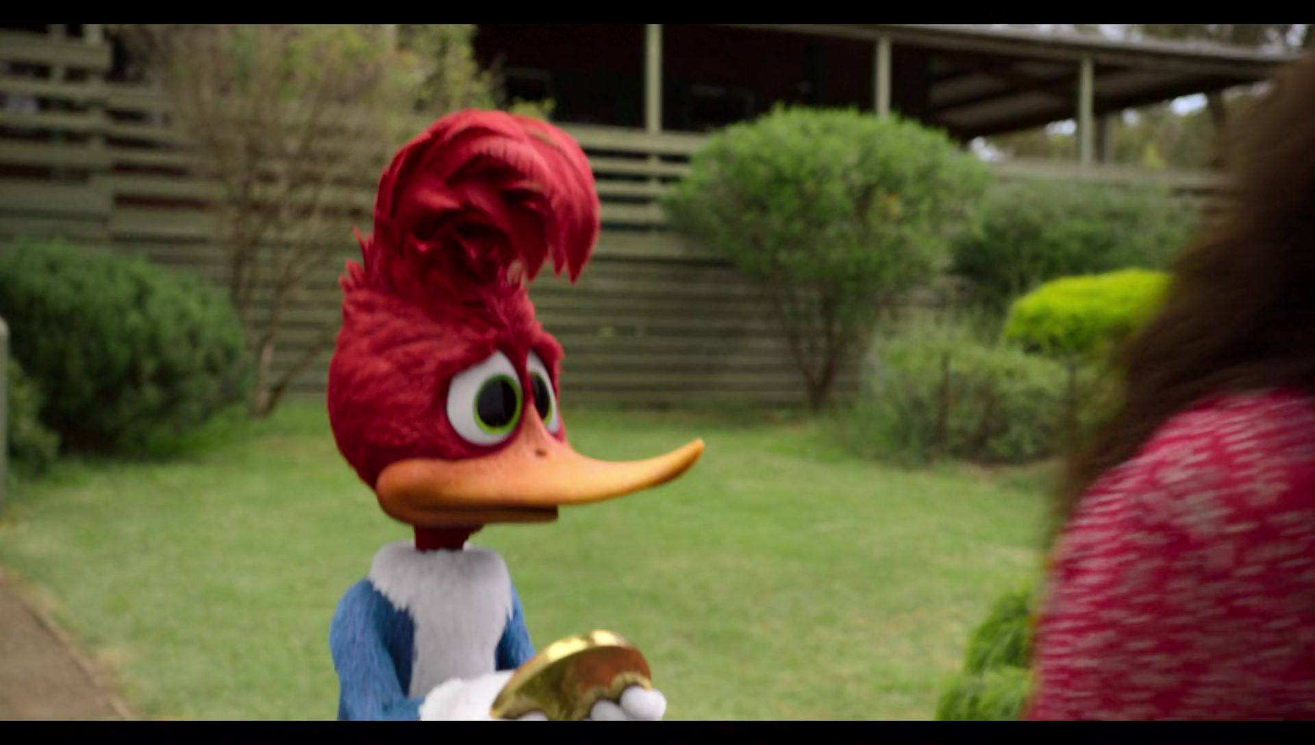 Woody Woodpecker Goes to Camp (2024) screencap 11331