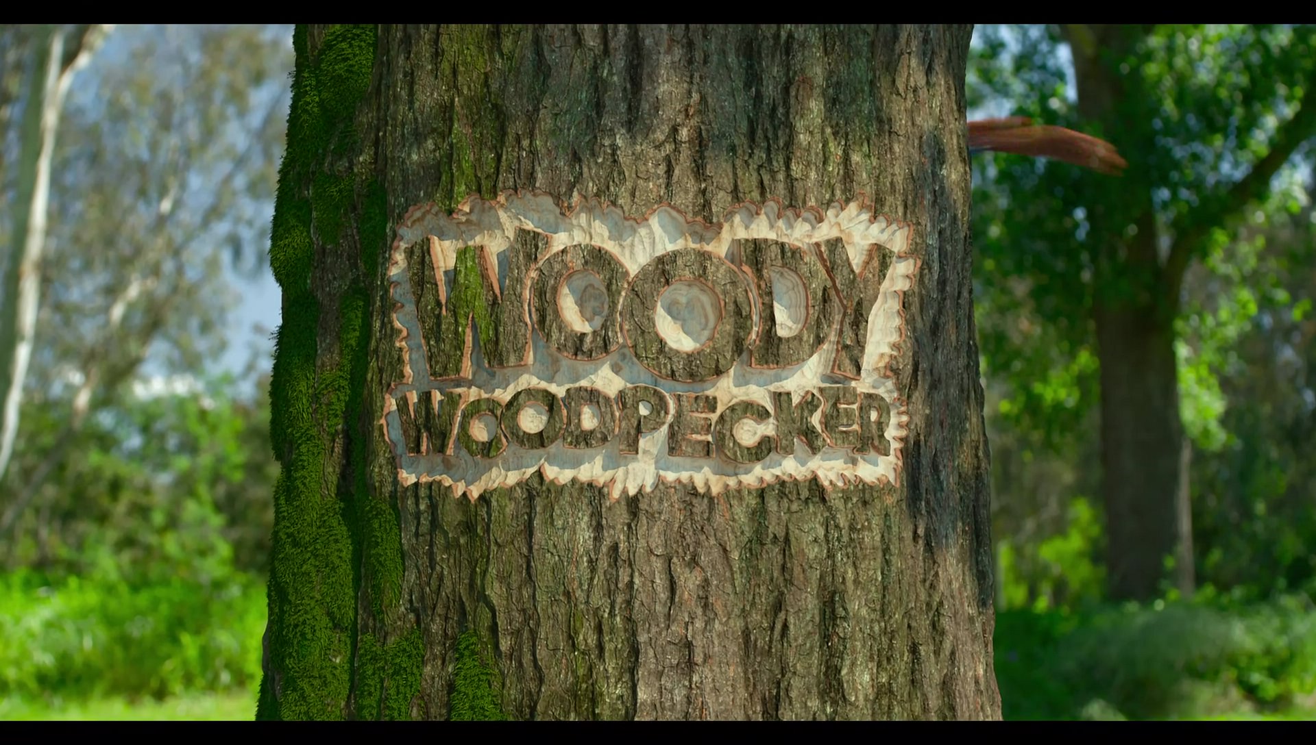Woody Woodpecker Goes to Camp (2024) movie still 133