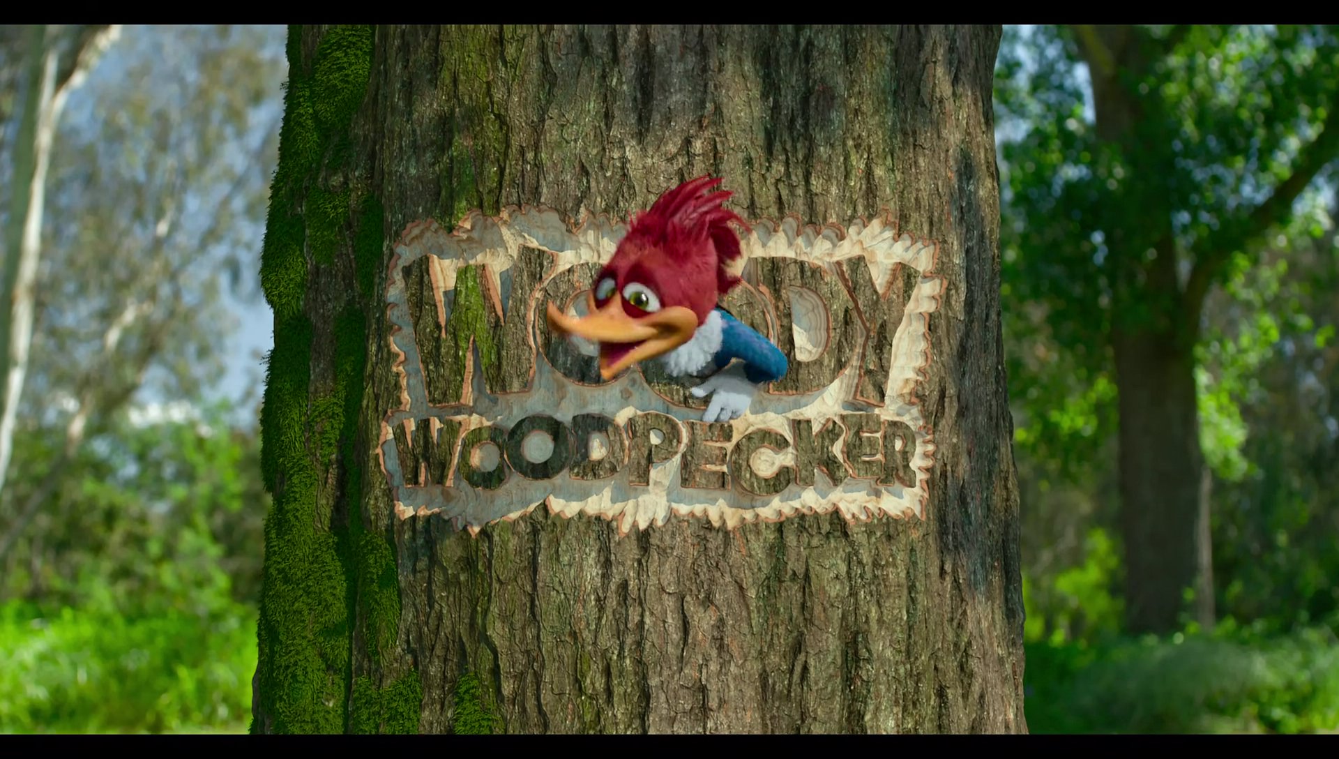 Woody Woodpecker Goes to Camp (2024) HD screenshot 134