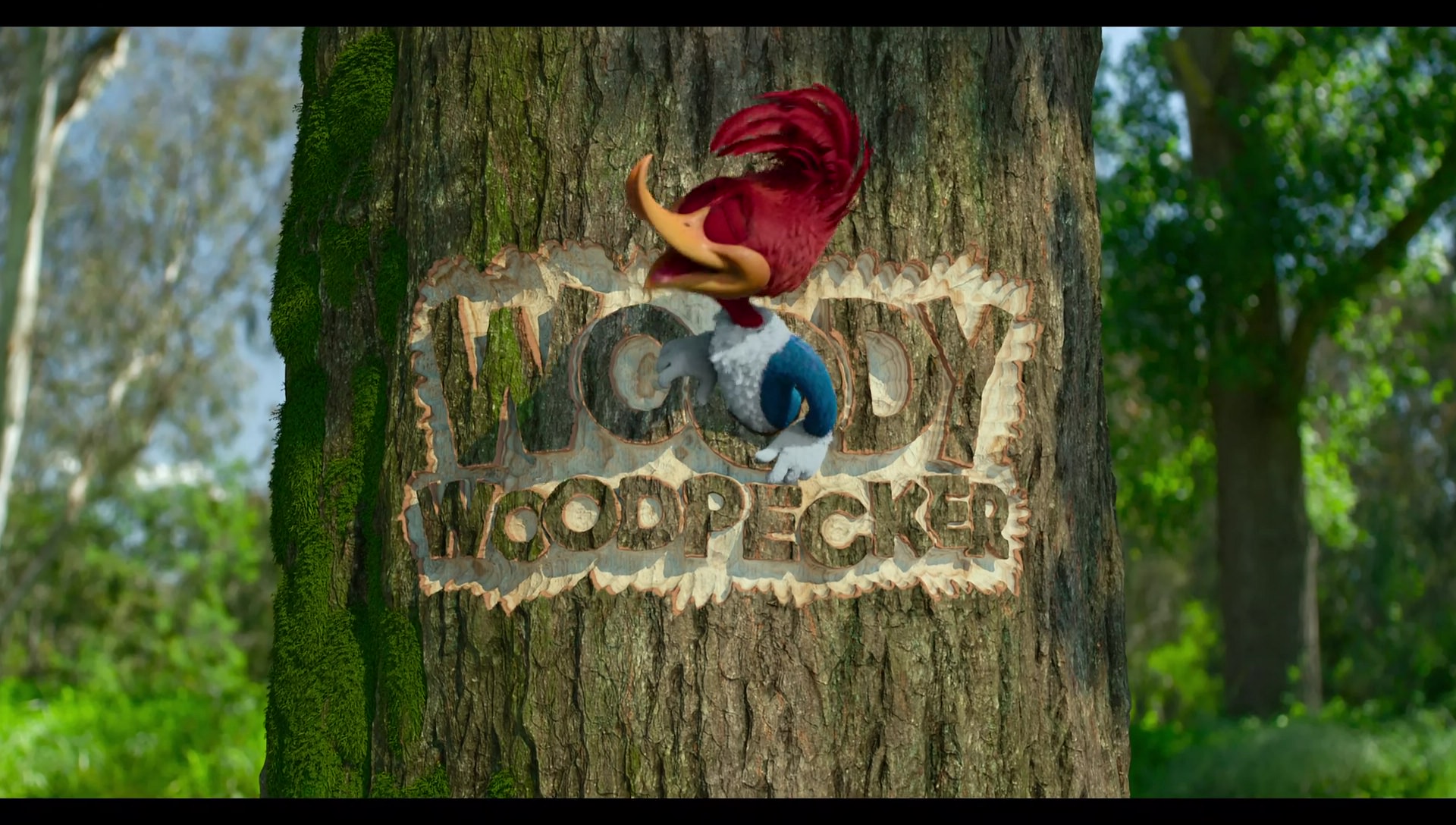 Woody Woodpecker Goes to Camp (2024) screencap 135