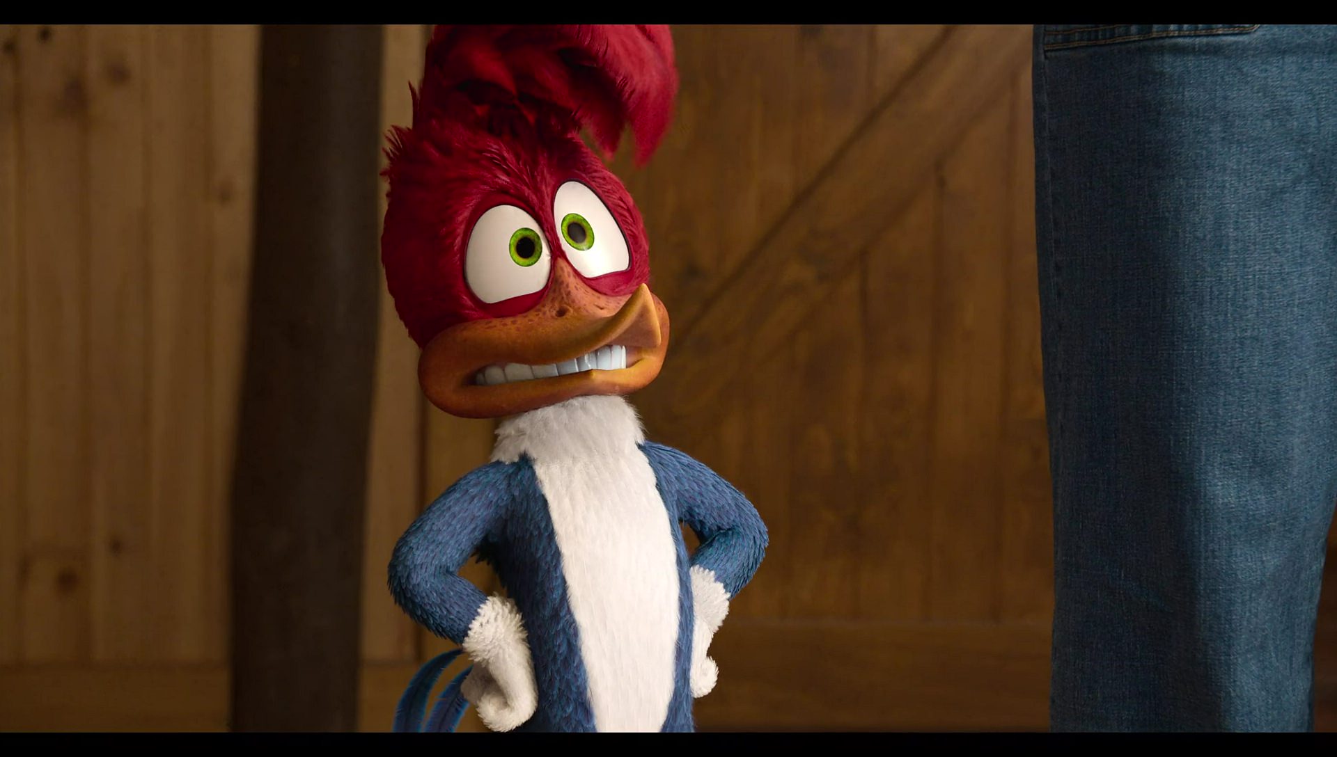 Woody Woodpecker Goes to Camp (2024) movie still 1702