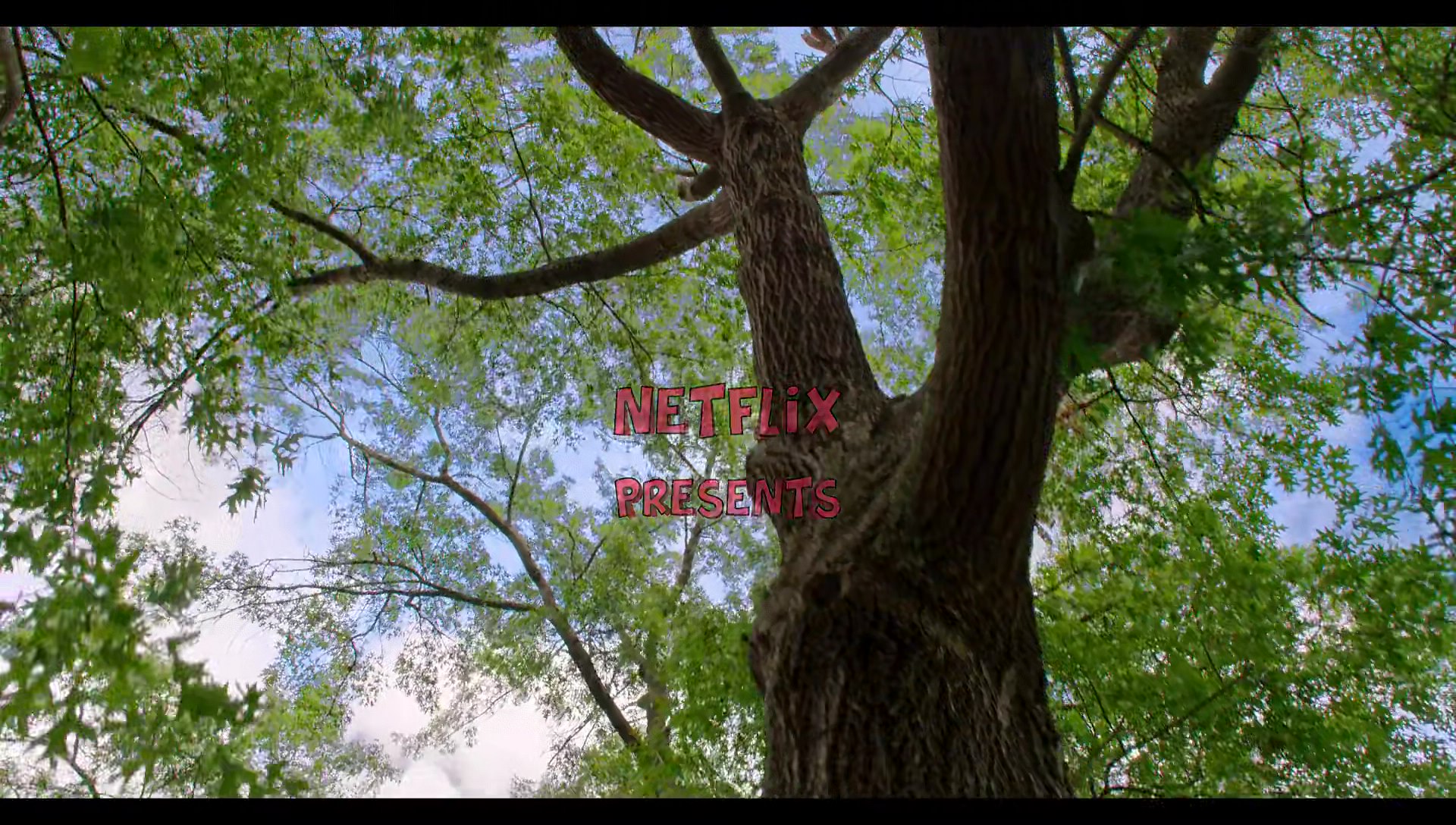 Woody Woodpecker Goes to Camp (2024) HD screenshot 2