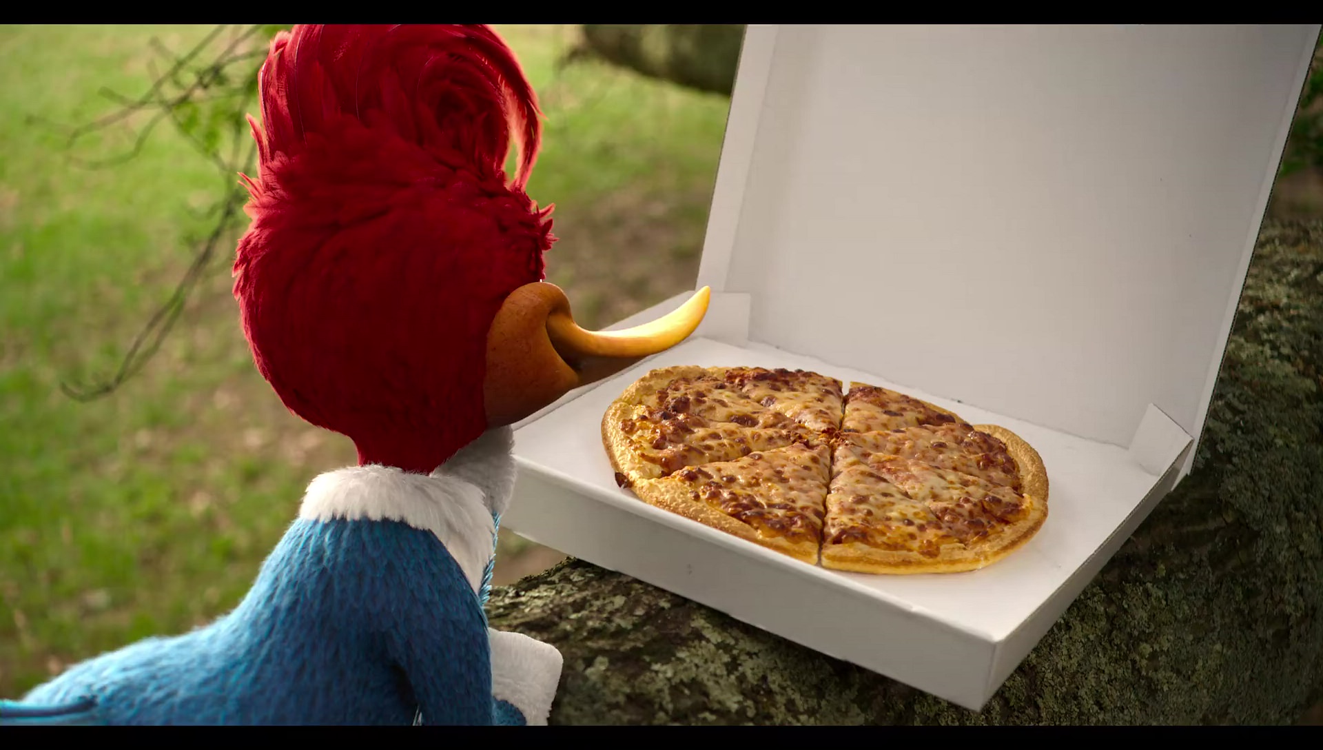 Woody Woodpecker Goes to Camp (2024) HD screenshot 20