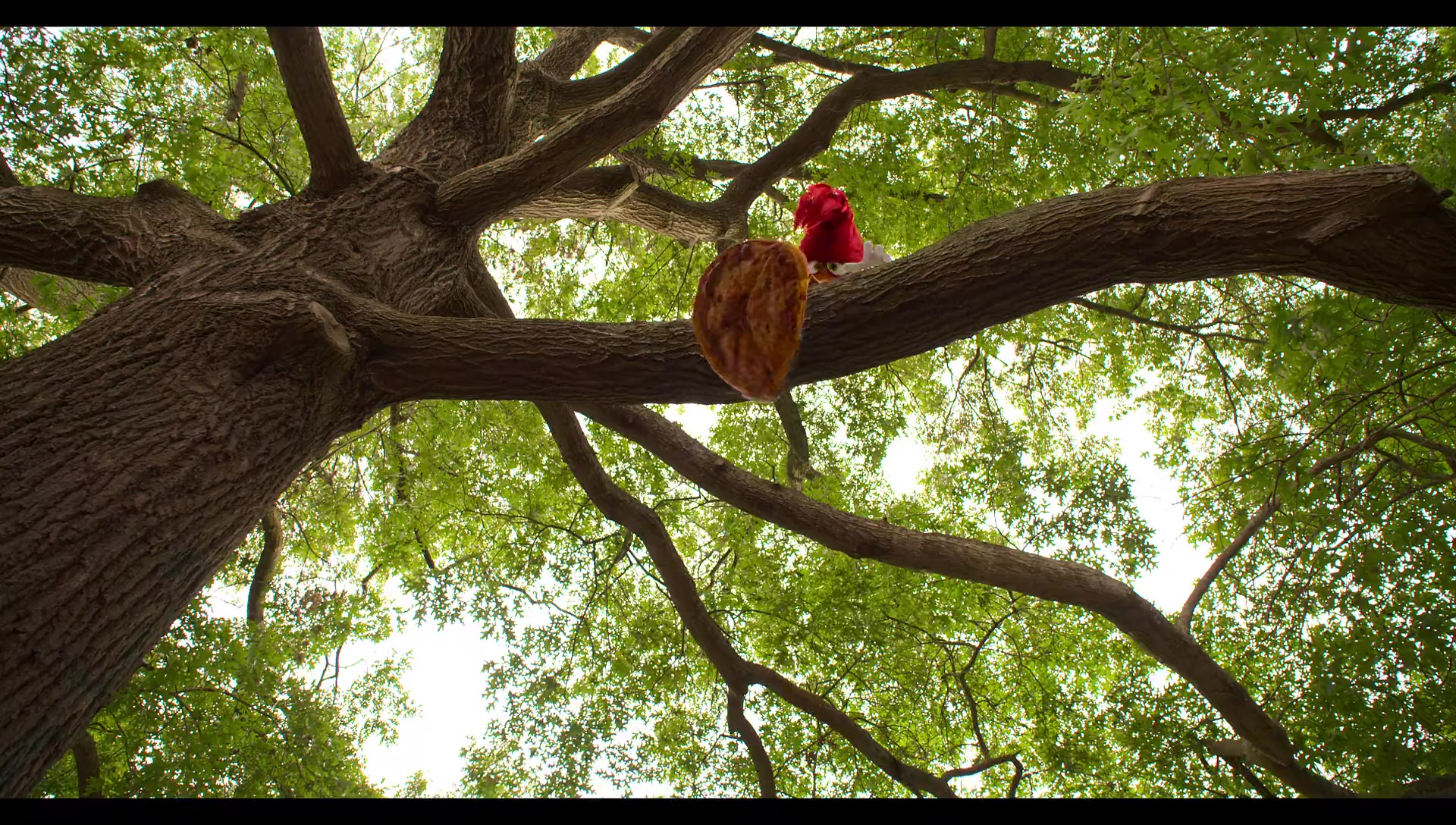 Woody Woodpecker Goes to Camp (2024) movie still 25