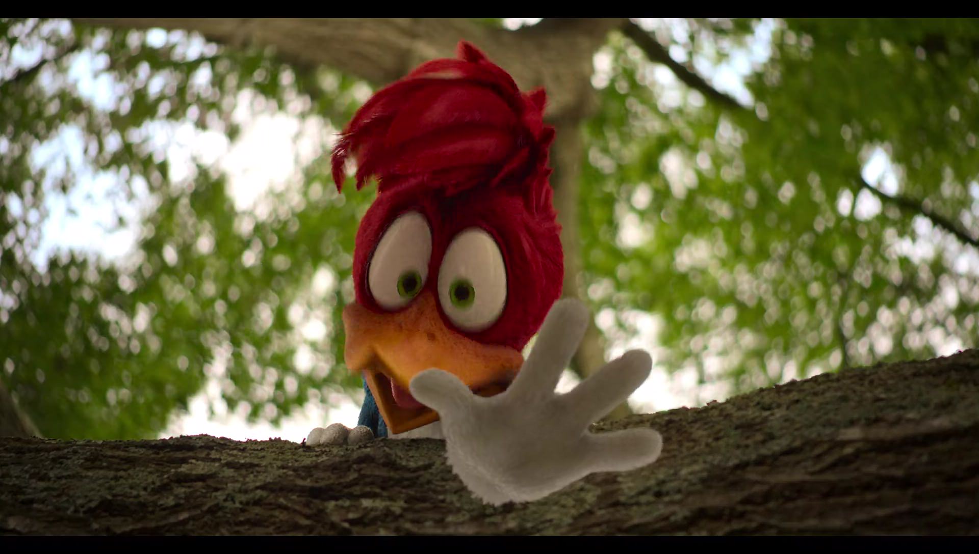 Woody Woodpecker Goes to Camp (2024) HD screenshot 26