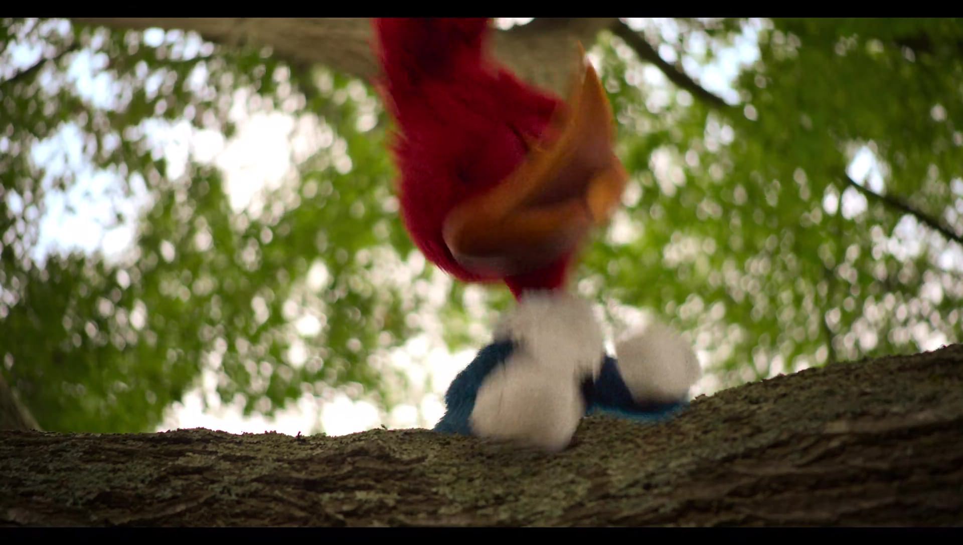 Woody Woodpecker Goes to Camp (2024) movie still 28