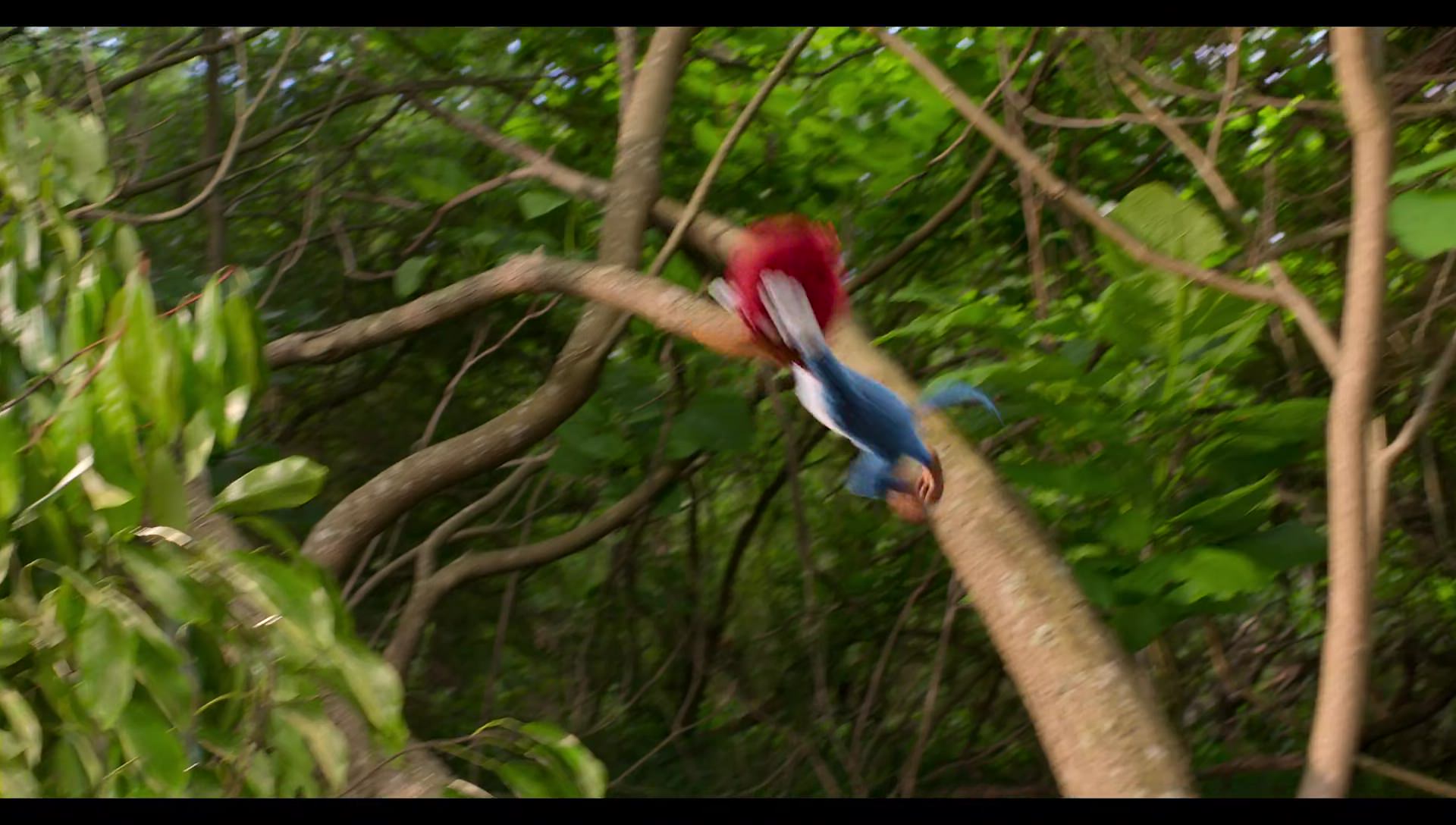 Woody Woodpecker Goes to Camp (2024) HD screenshot 29