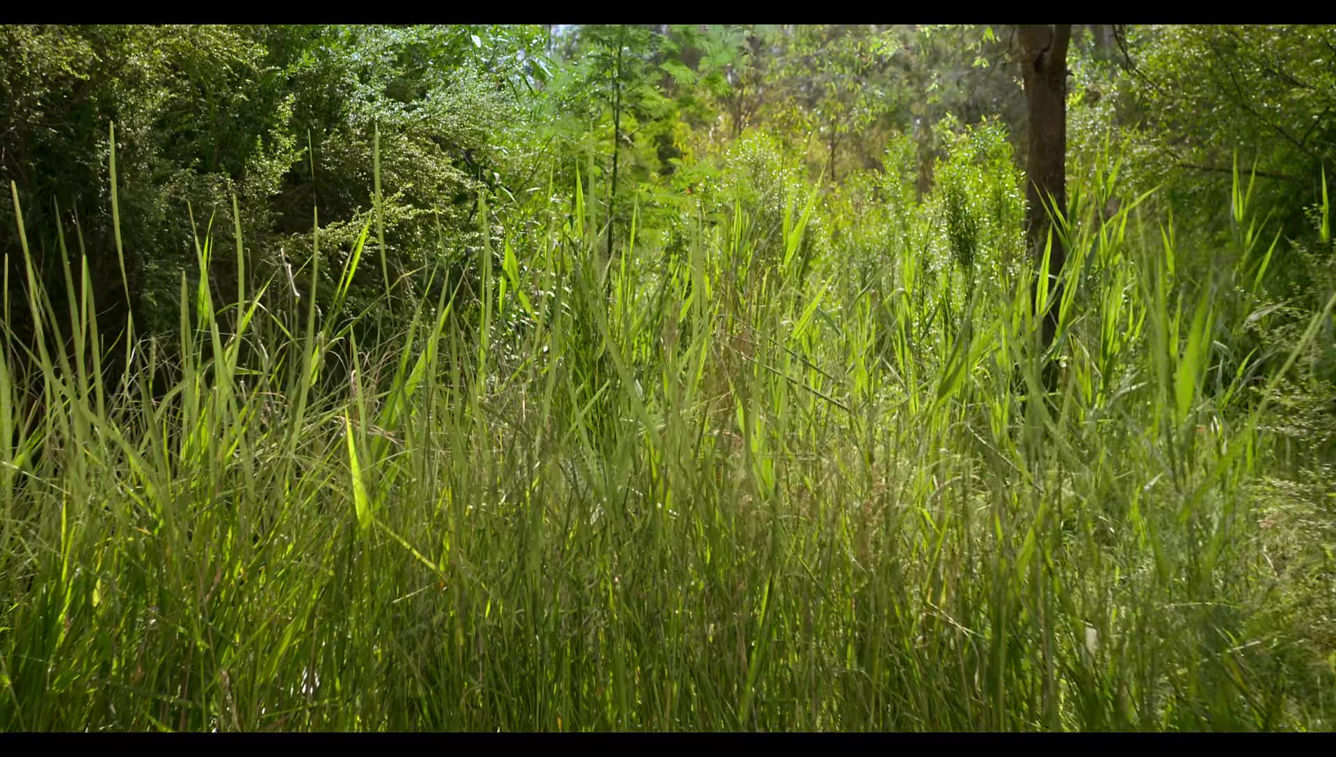 Woody Woodpecker Goes to Camp (2024) screencap 2949