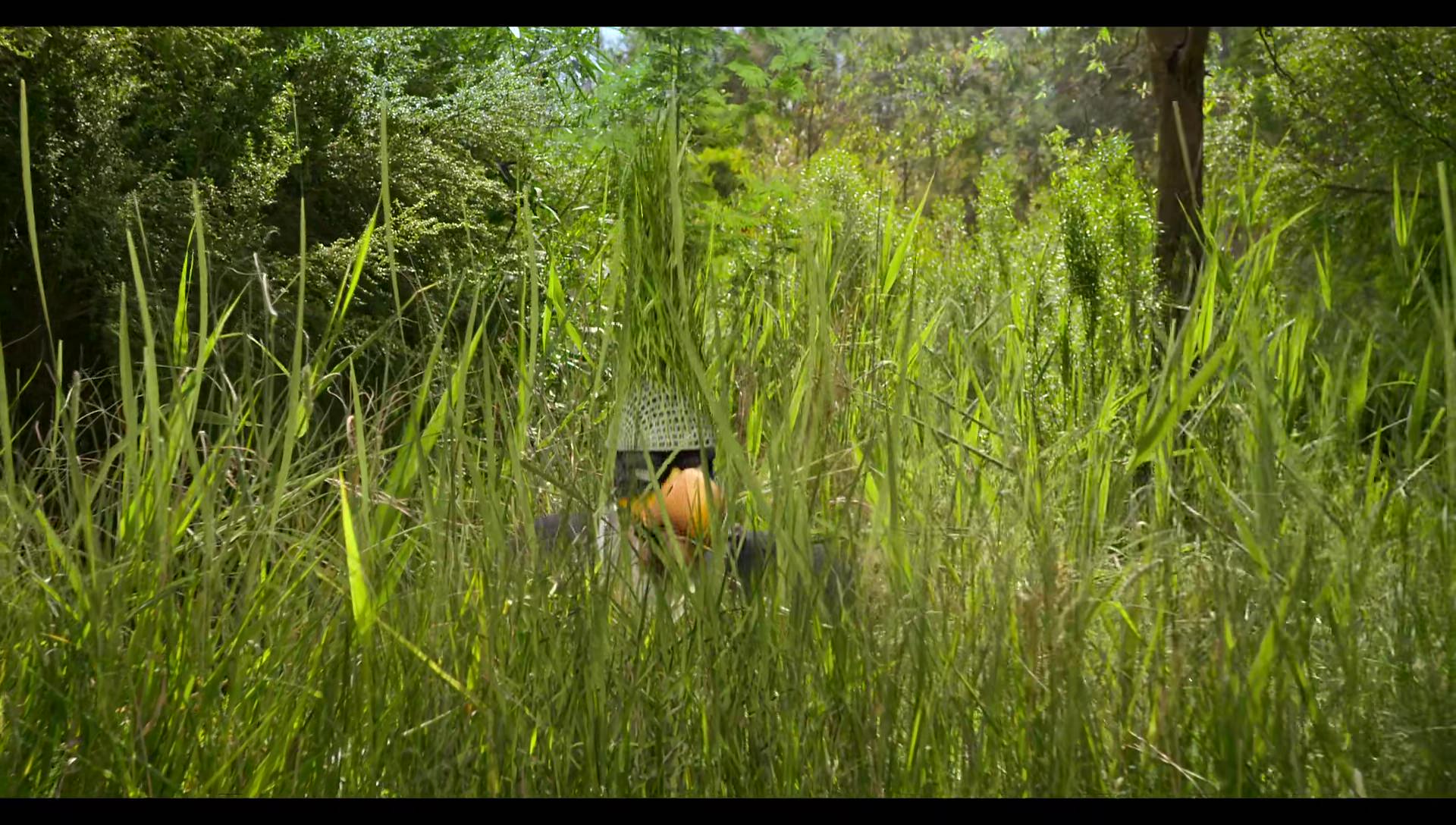 Woody Woodpecker Goes to Camp (2024) HD screenshot 2951