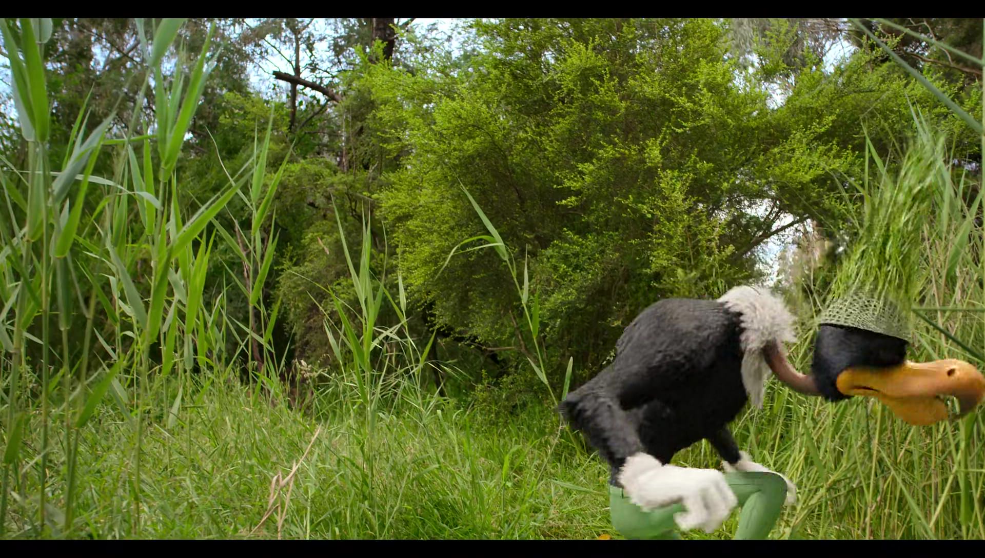 Woody Woodpecker Goes to Camp (2024) HD screenshot 2960
