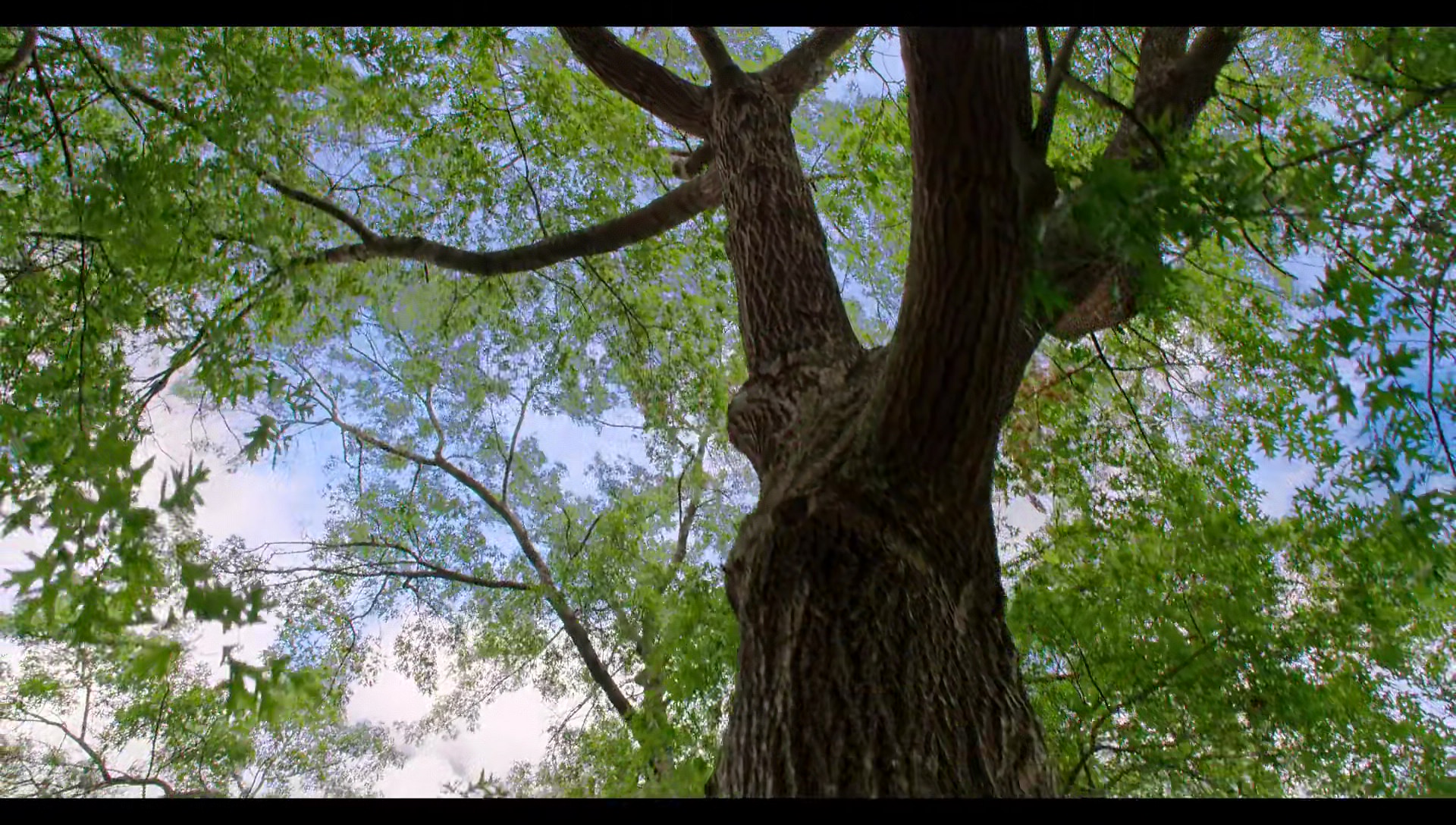 Woody Woodpecker Goes to Camp (2024) screencap 3