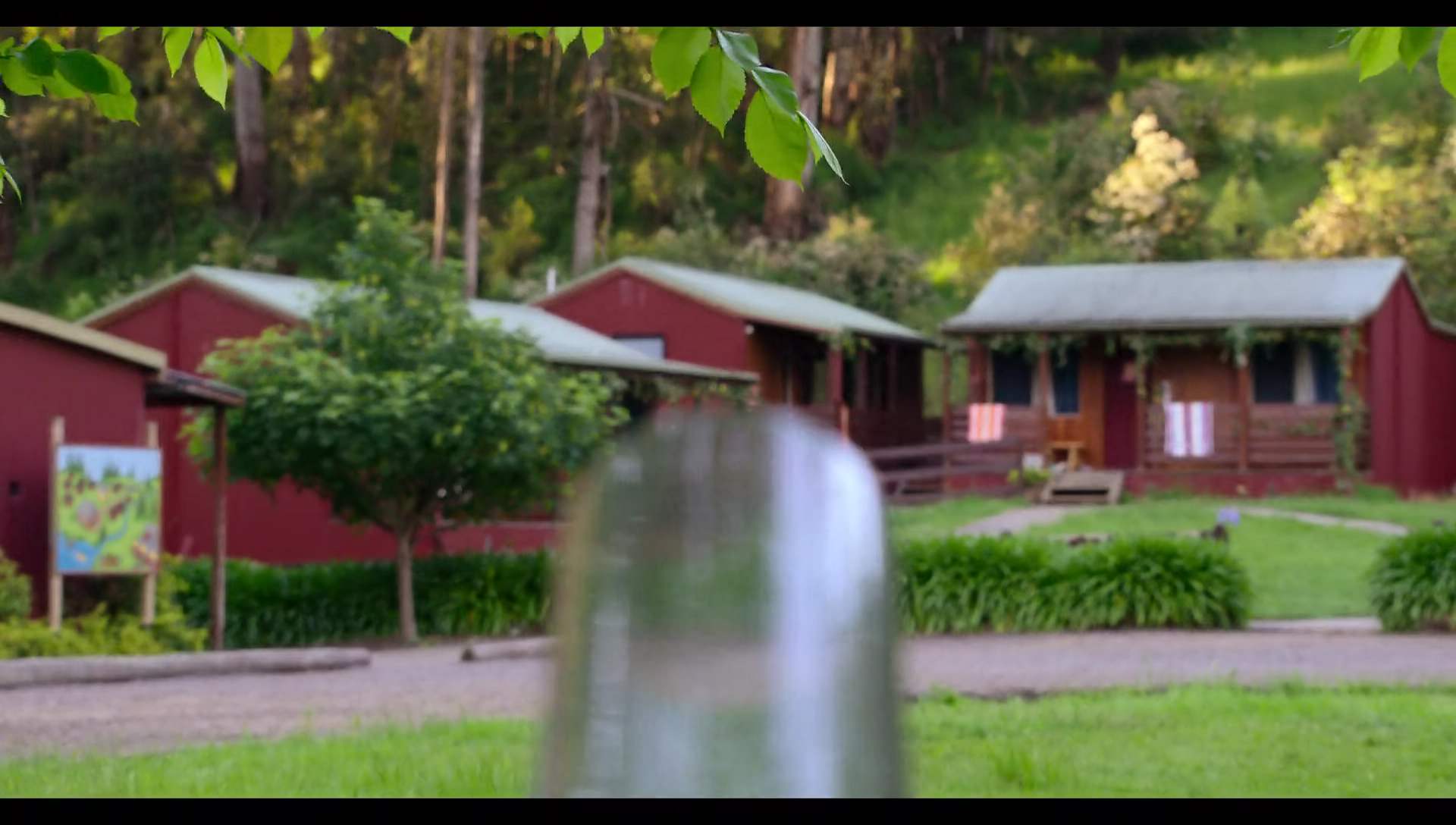 Woody Woodpecker Goes to Camp (2024) HD screenshot 3041
