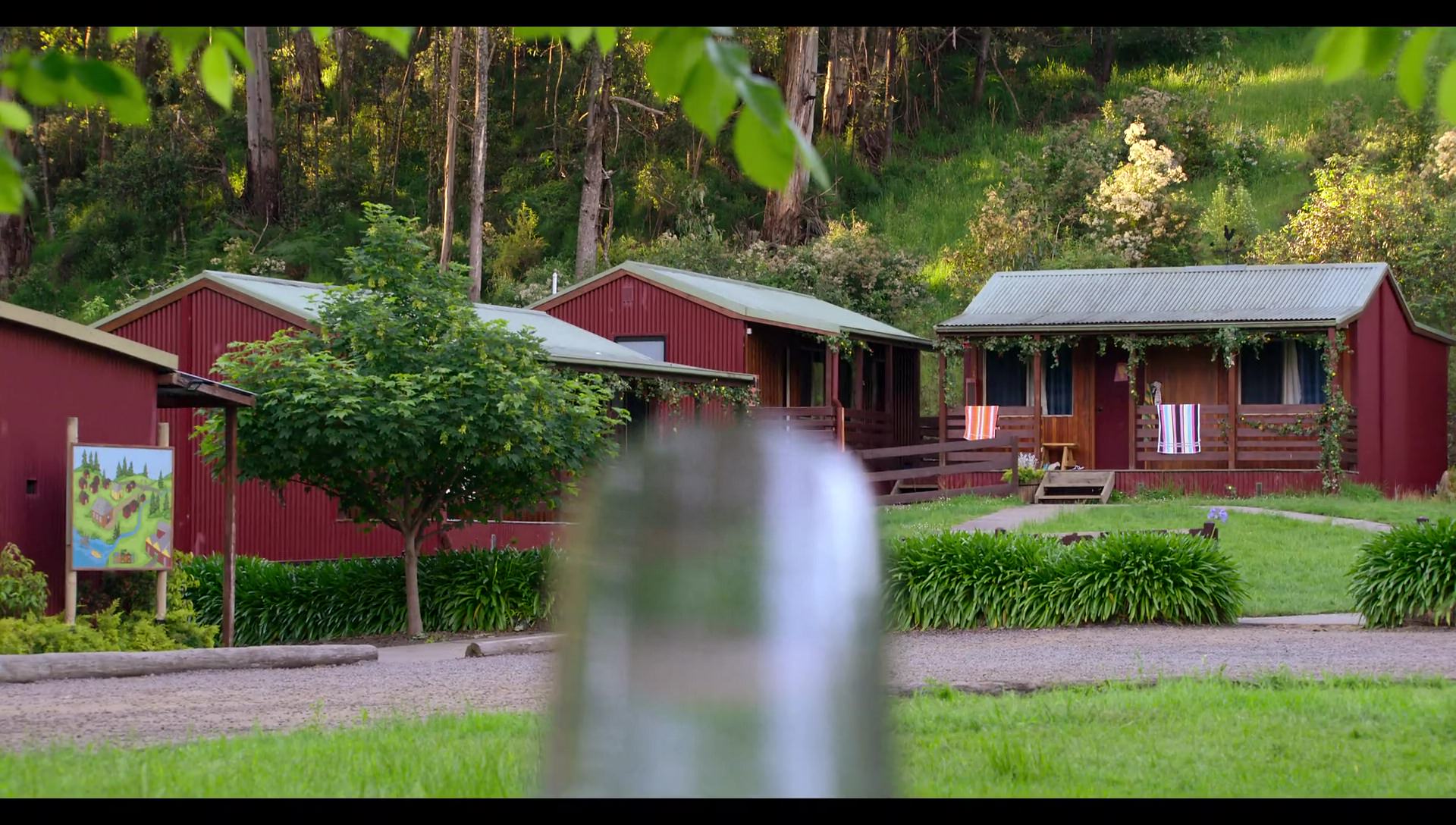 Woody Woodpecker Goes to Camp (2024) HD screenshot 3044