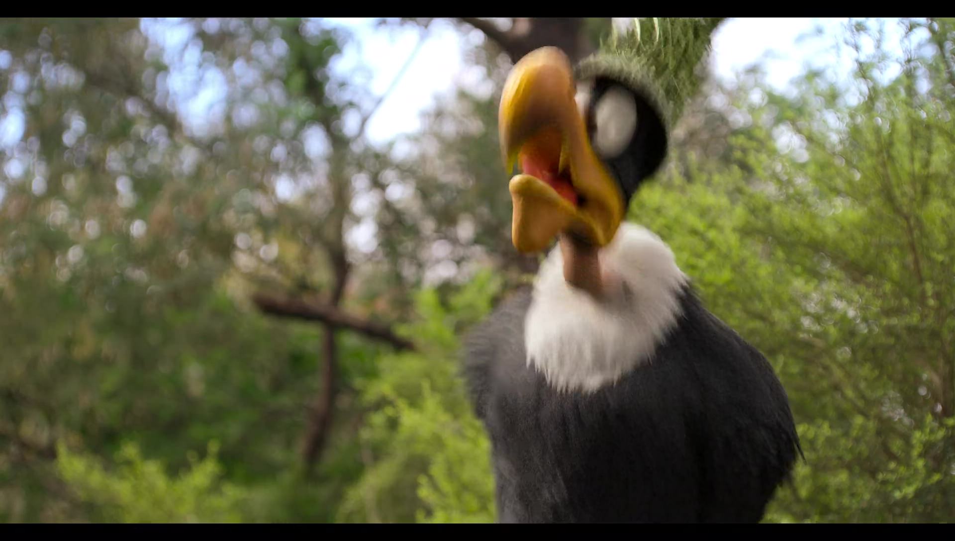 Woody Woodpecker Goes to Camp (2024) screencap 3069