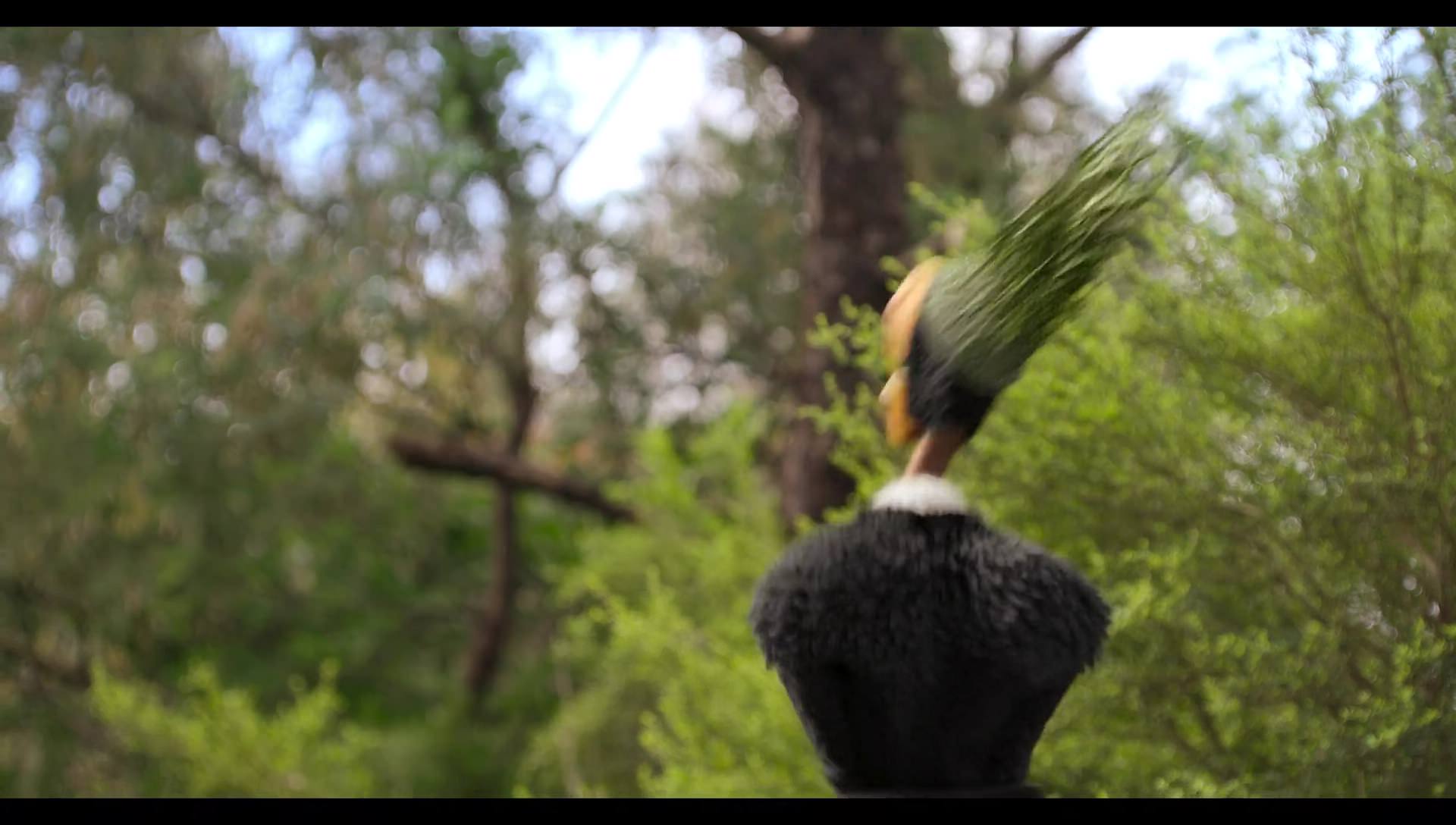 Woody Woodpecker Goes to Camp (2024) movie still 3070