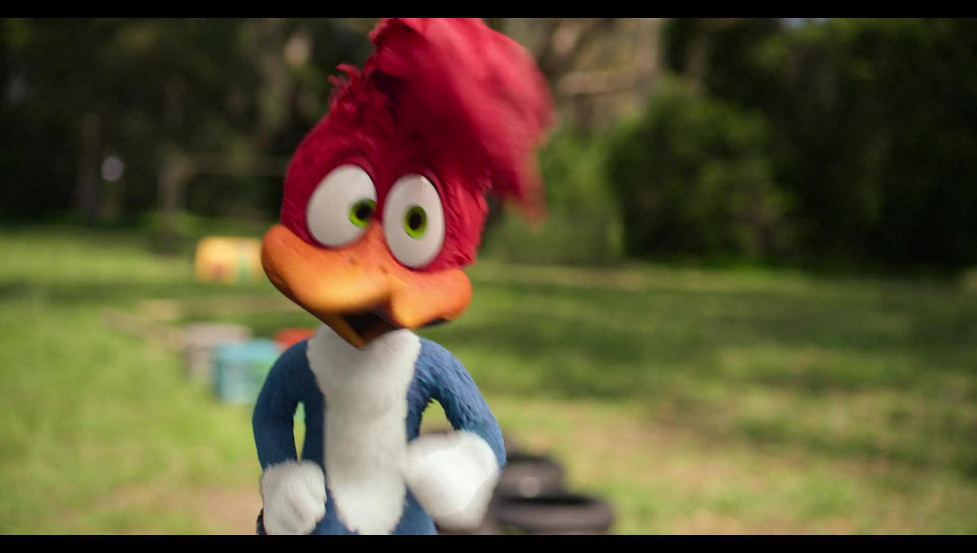 Woody Woodpecker Goes to Camp (2024) HD screenshot 3077