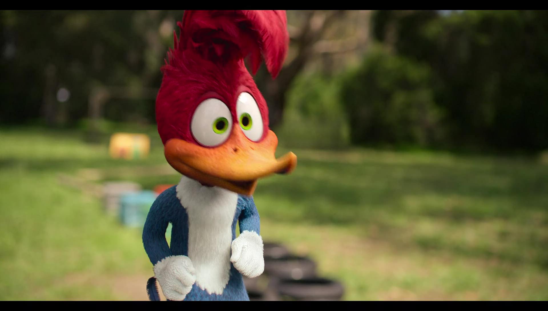Woody Woodpecker Goes to Camp (2024) HD screenshot 3080