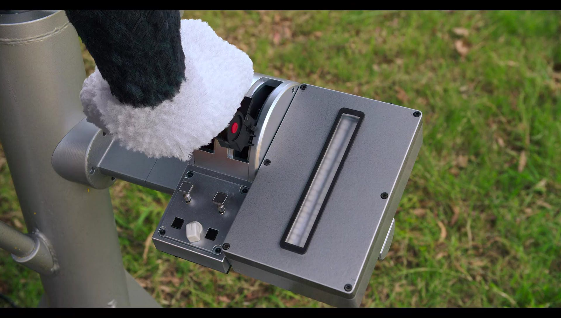 Woody Woodpecker Goes to Camp (2024) HD screenshot 3152