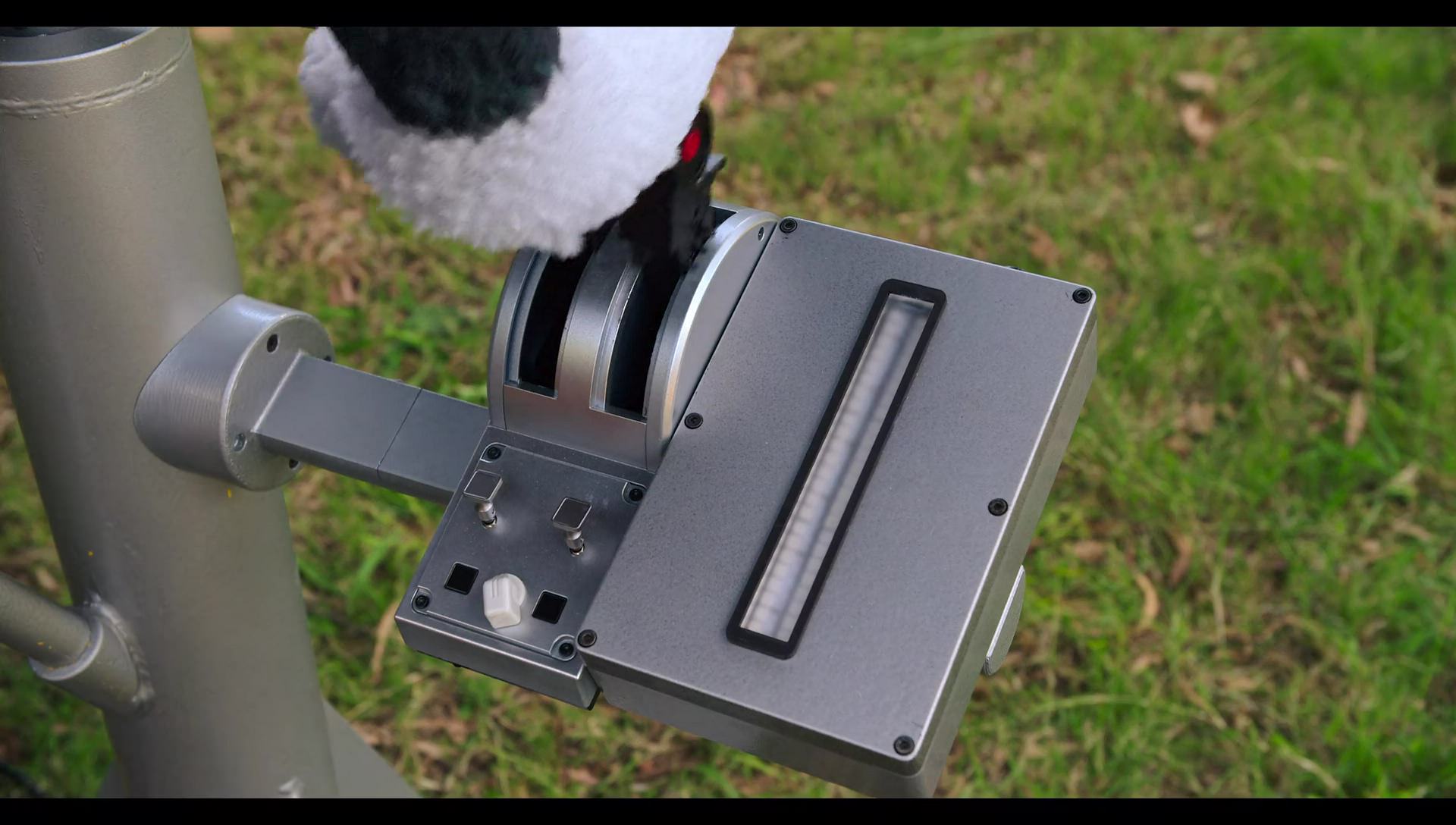 Woody Woodpecker Goes to Camp (2024) screencap 3153