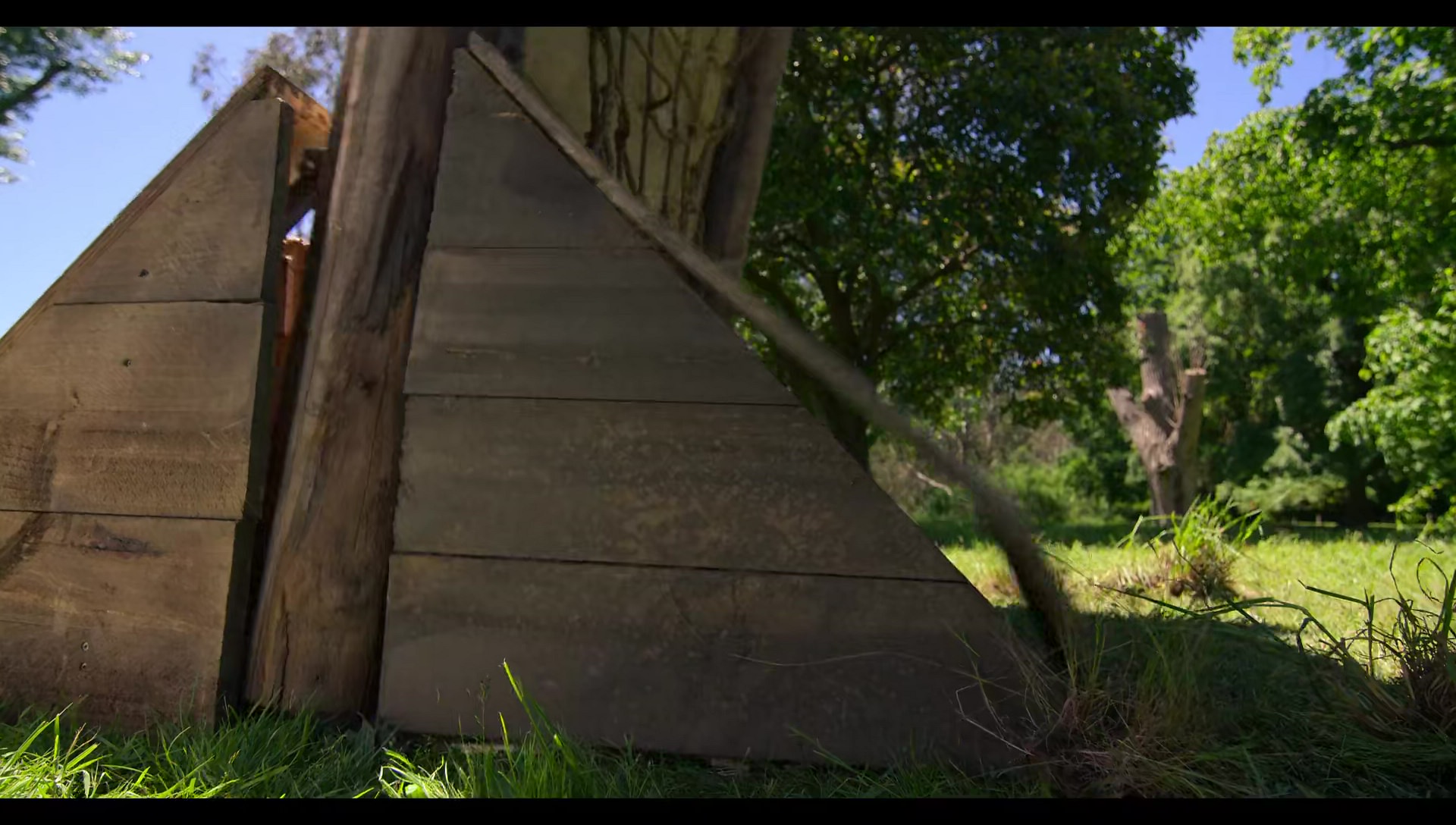 Woody Woodpecker Goes to Camp (2024) HD screenshot 3197