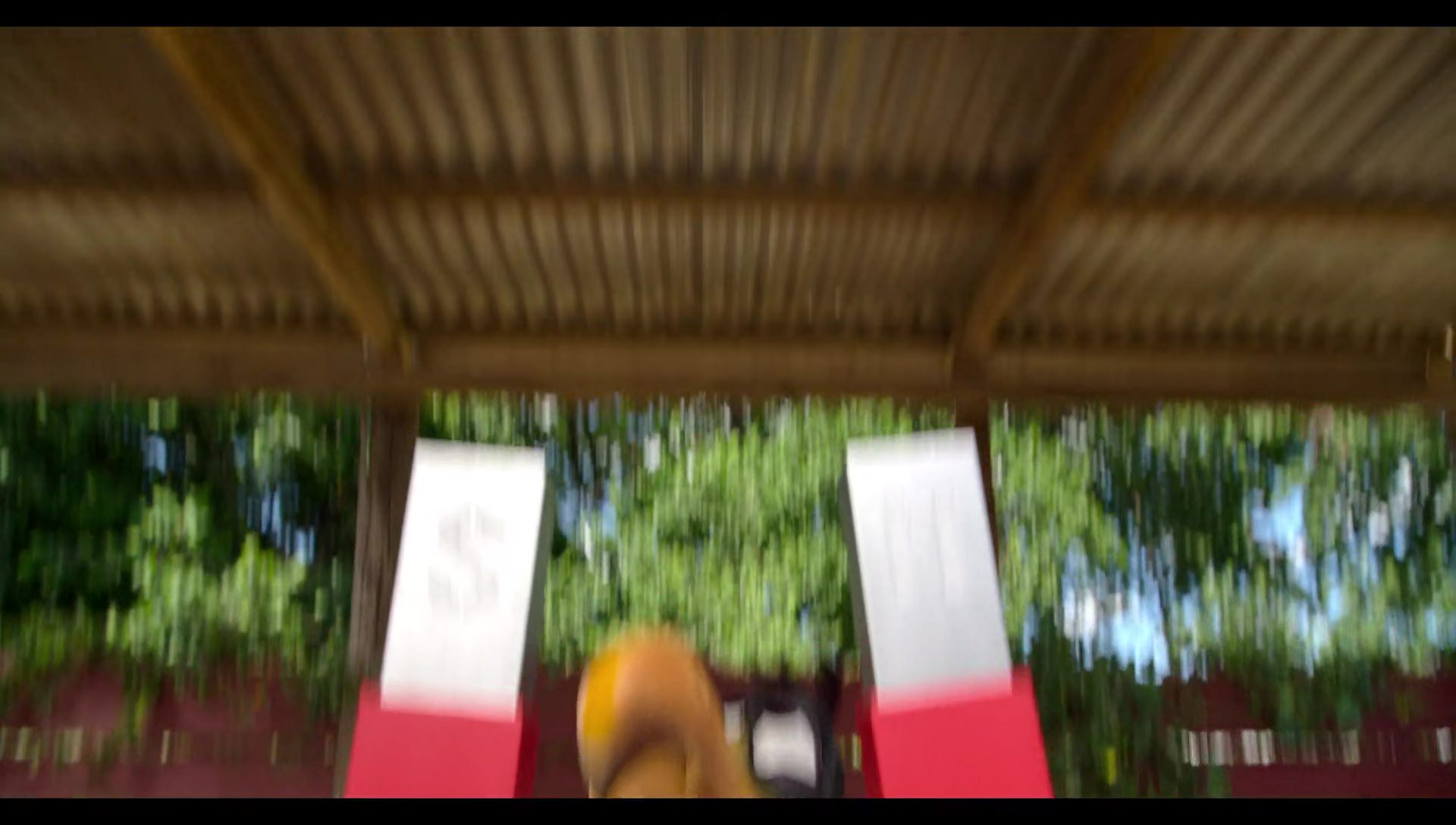 Woody Woodpecker Goes to Camp (2024) movie still 3211