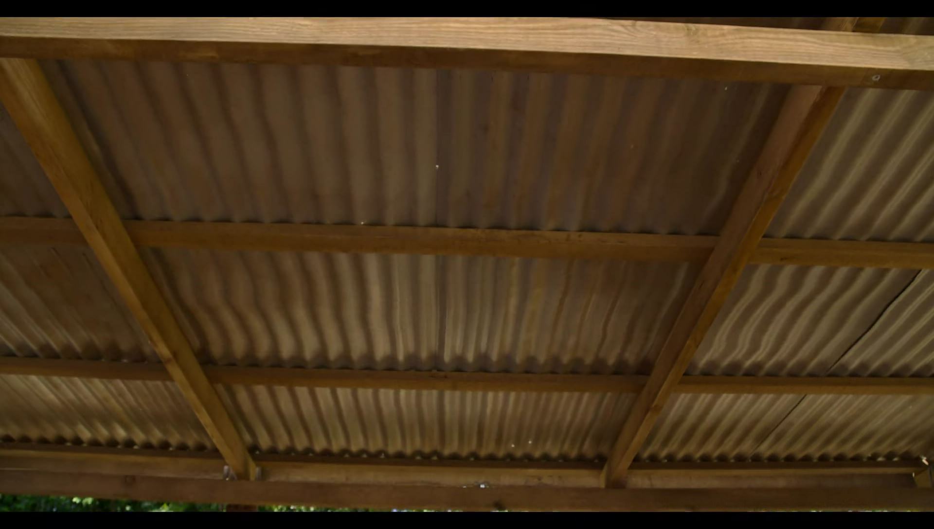 Woody Woodpecker Goes to Camp (2024) HD screenshot 3212