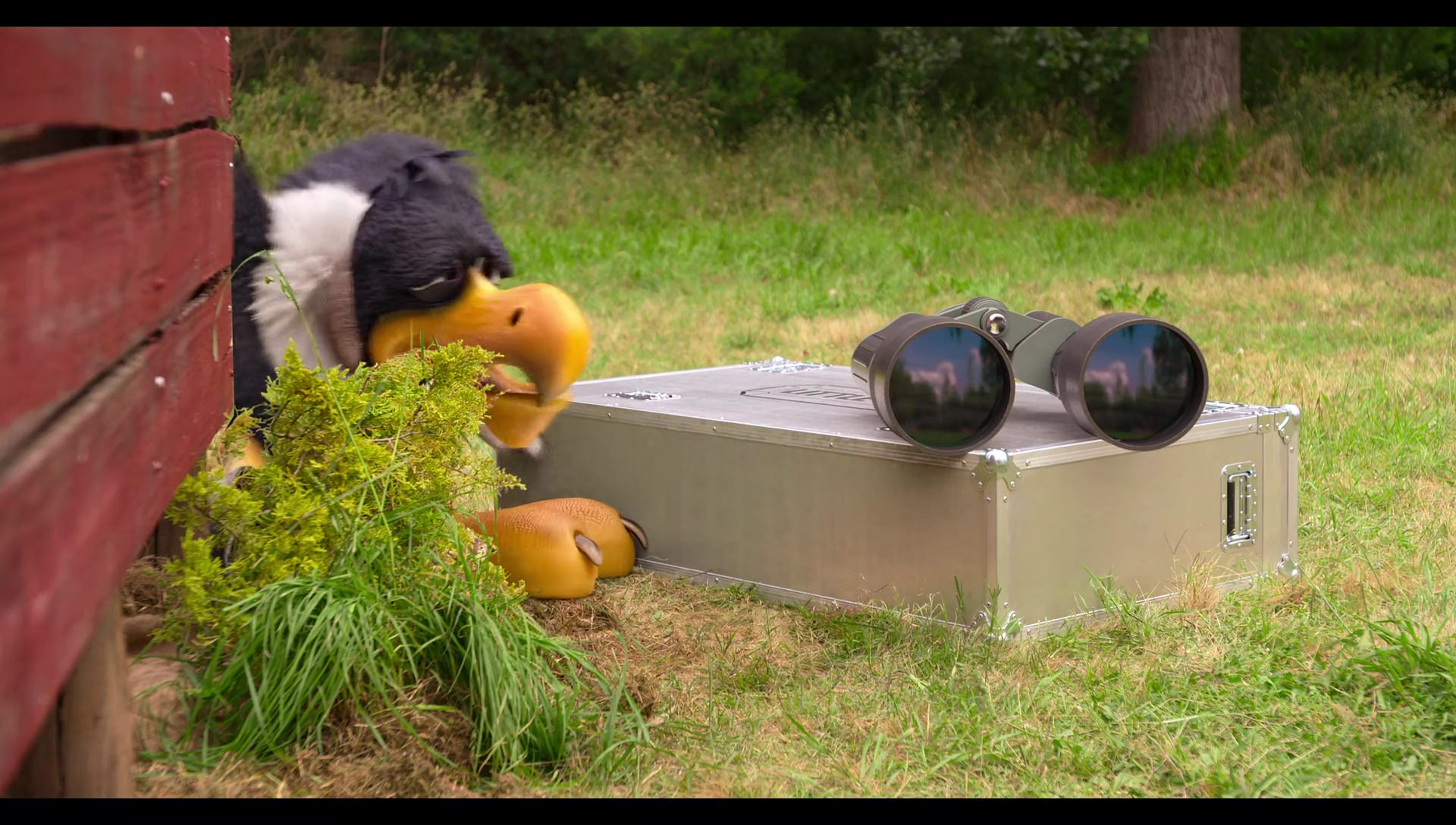 Woody Woodpecker Goes to Camp (2024) HD screenshot 3245