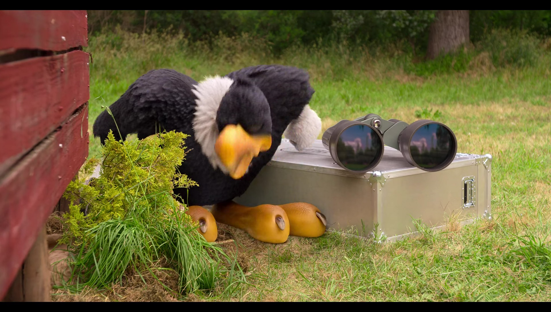 Woody Woodpecker Goes to Camp (2024) HD screenshot 3248