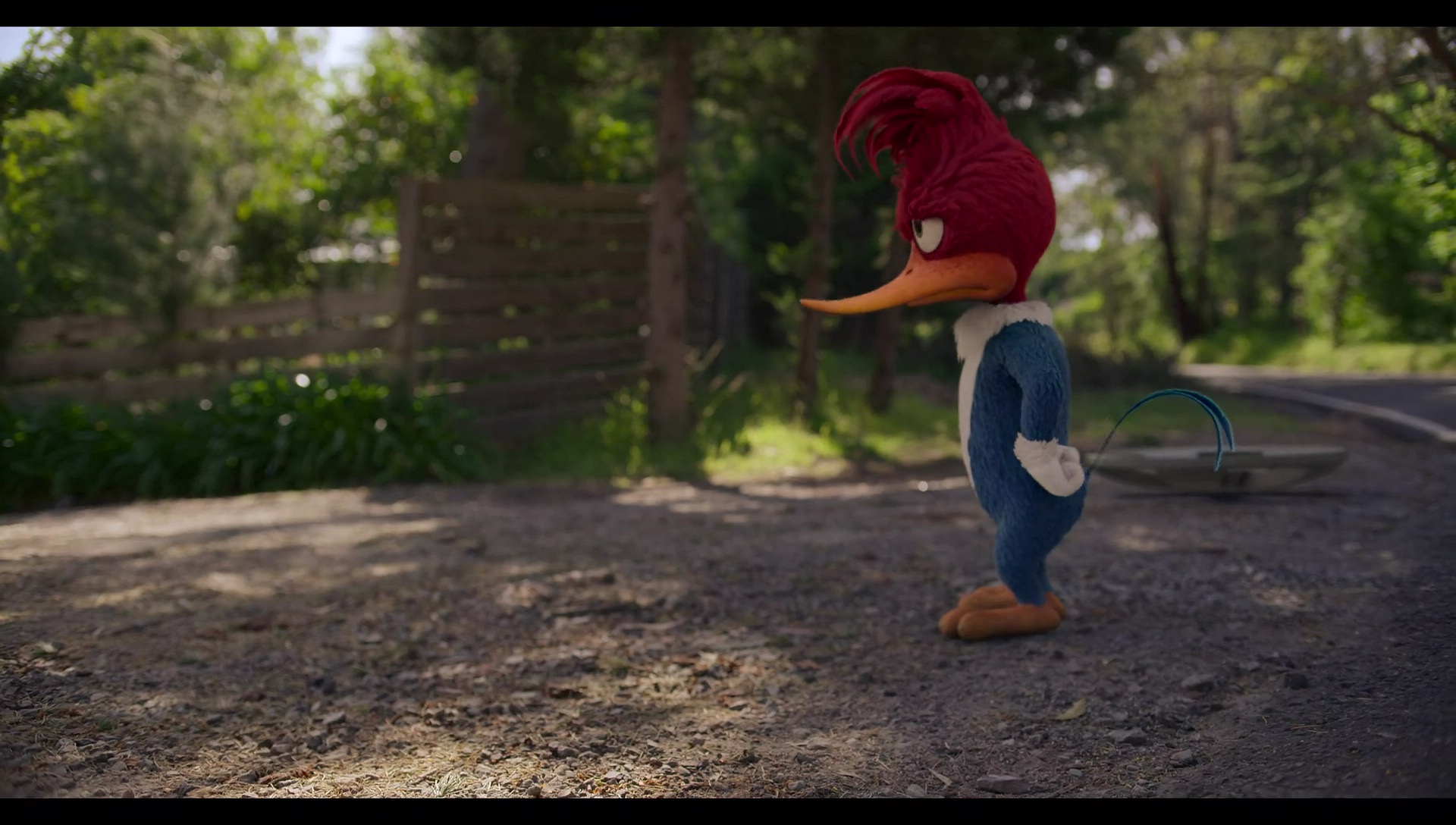 Woody Woodpecker Goes to Camp (2024) screencap 336