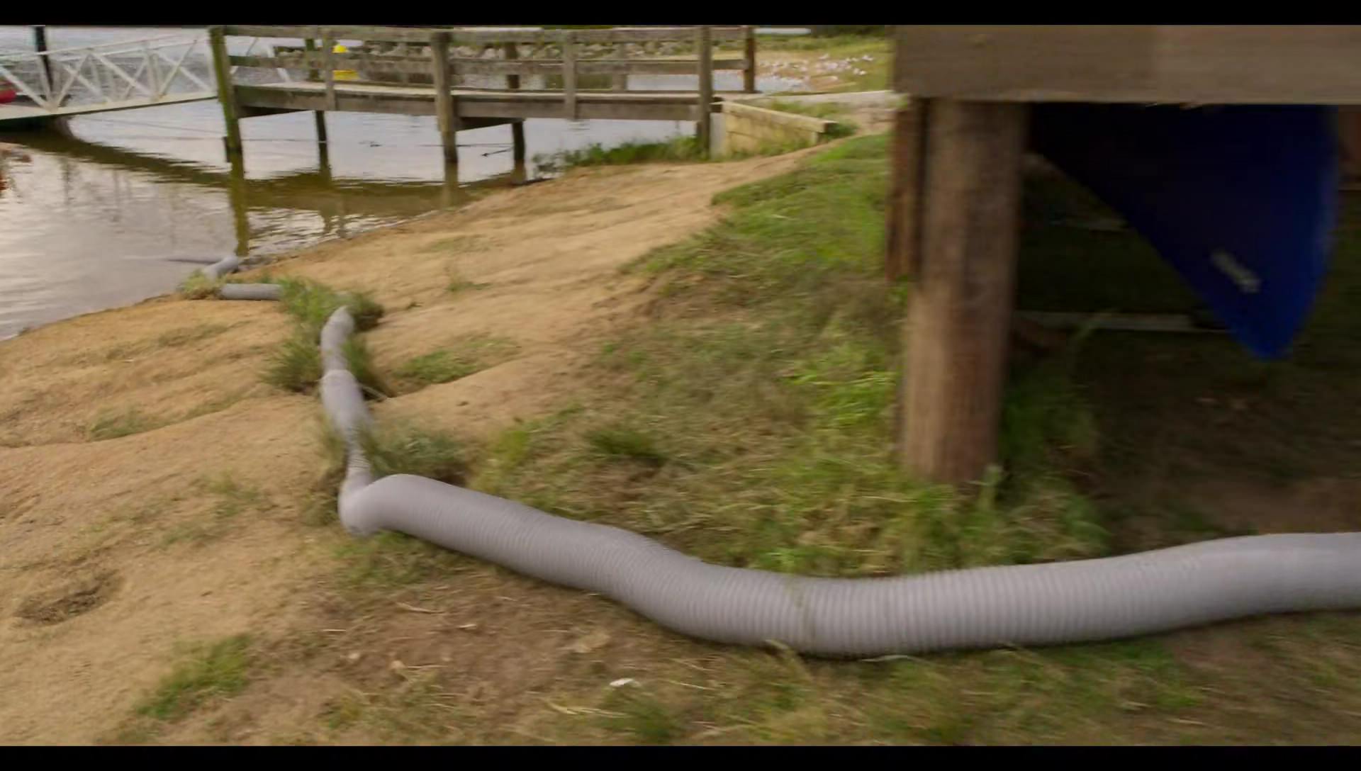 Woody Woodpecker Goes to Camp (2024) screencap 3360