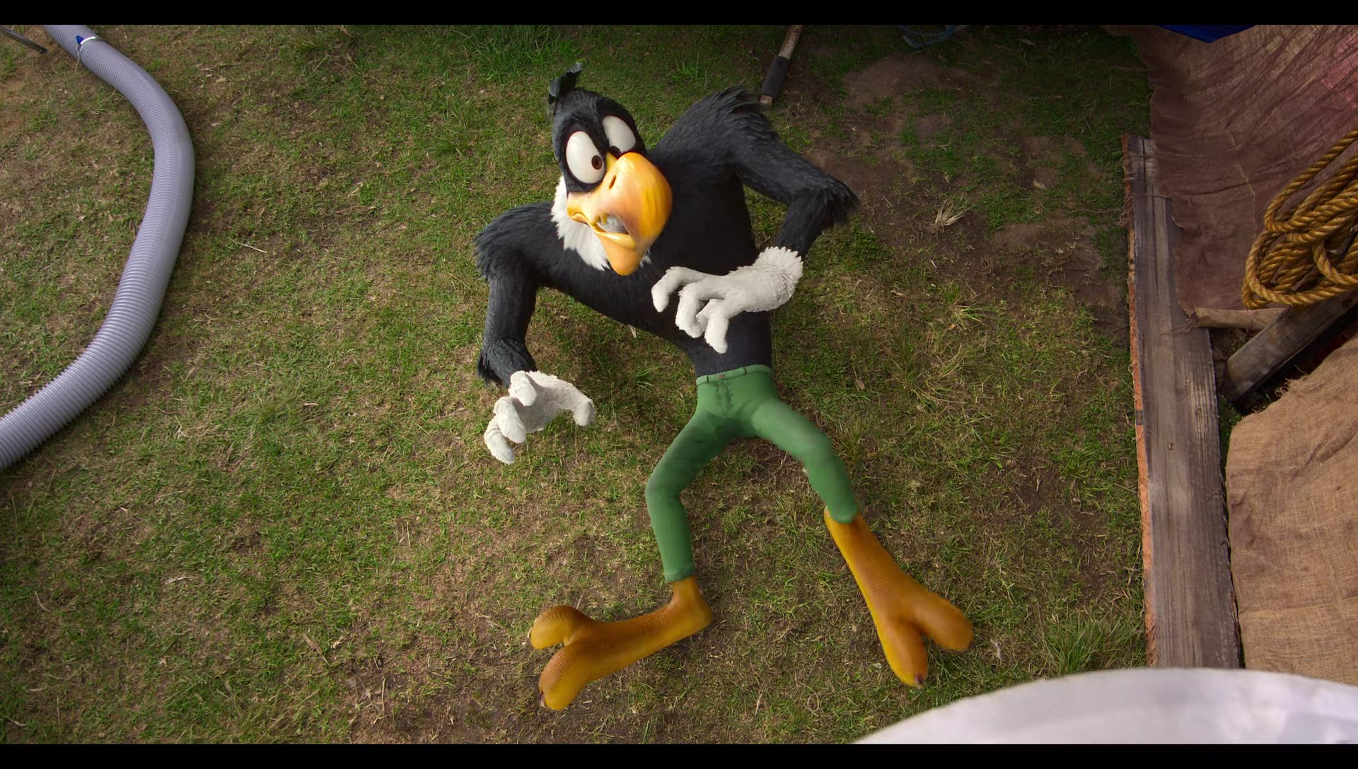 Woody Woodpecker Goes to Camp (2024) HD screenshot 3458