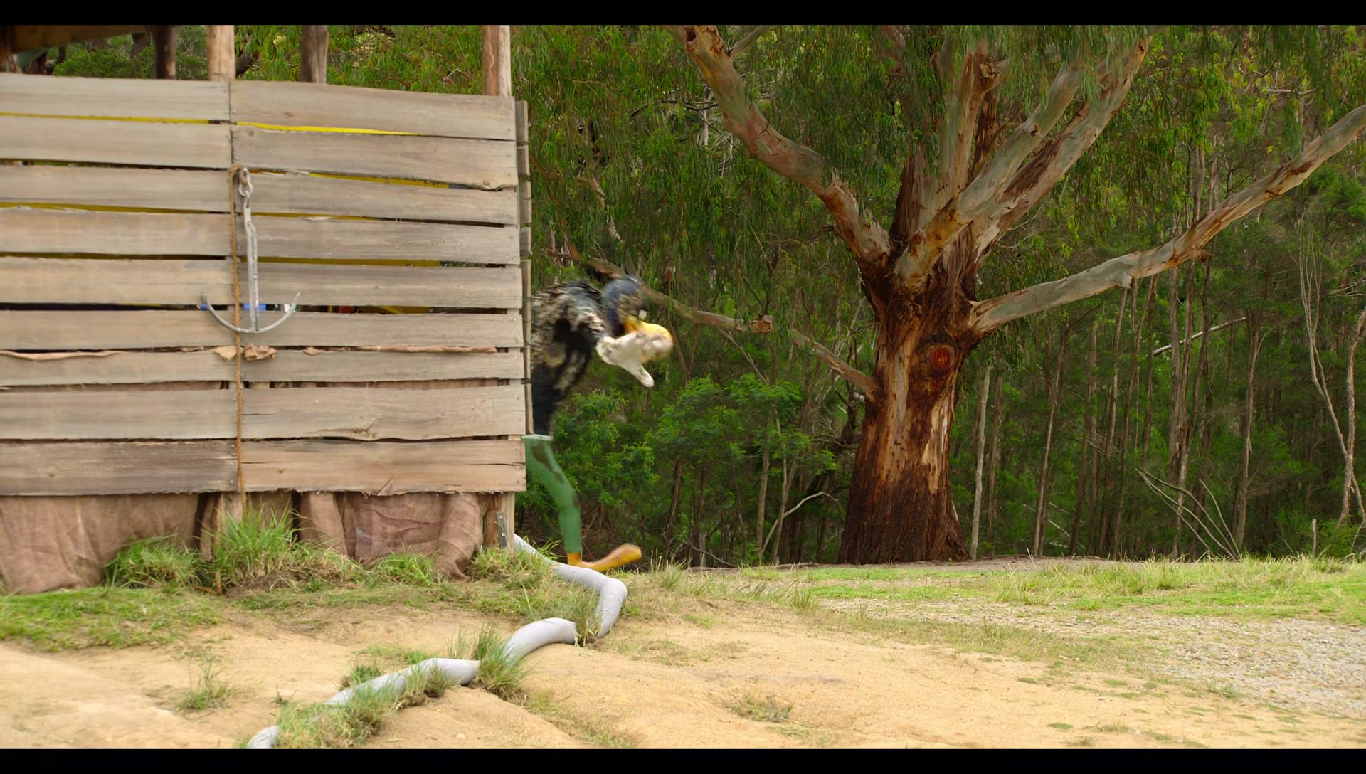 Woody Woodpecker Goes to Camp (2024) HD screenshot 3479
