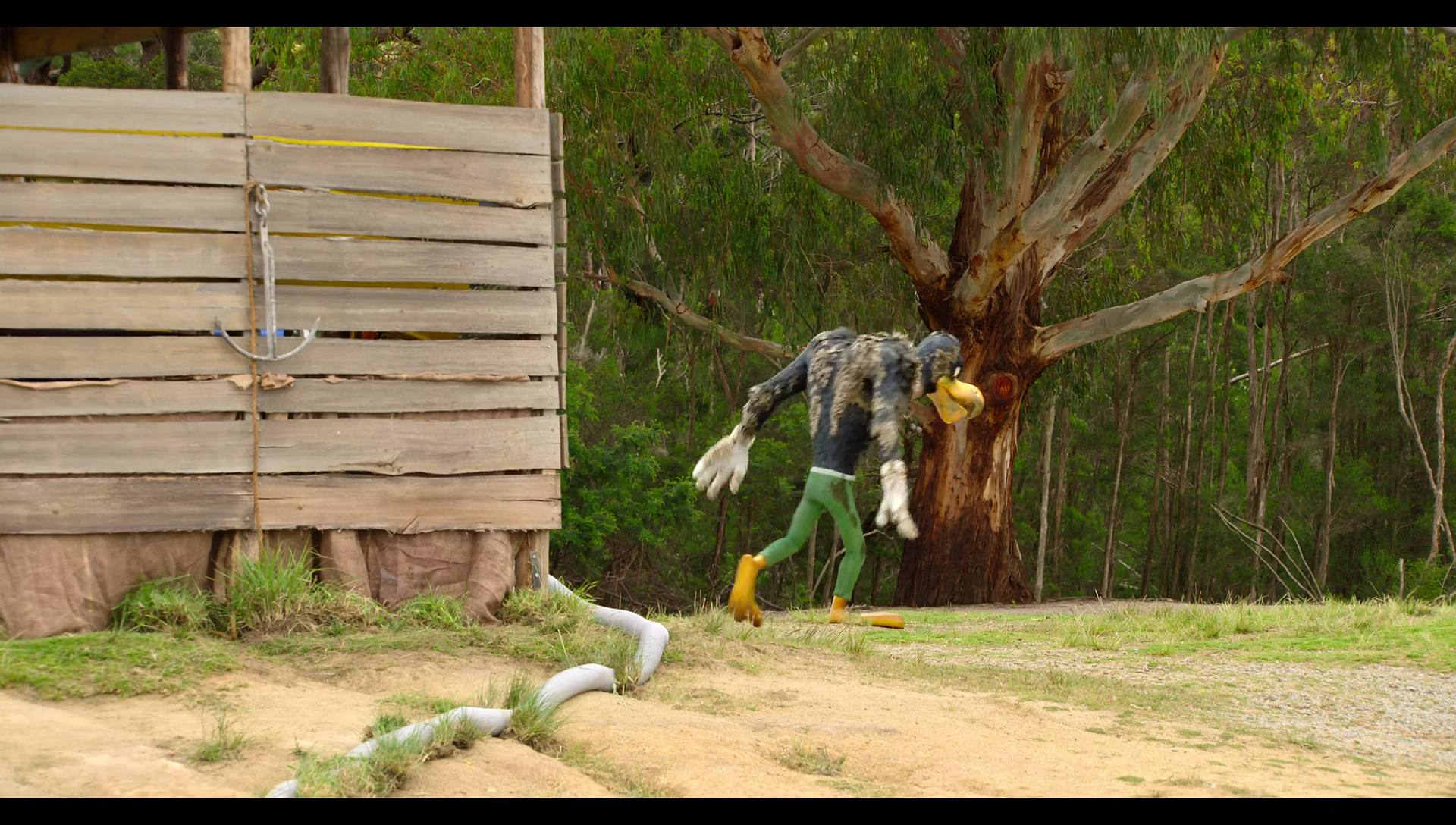 Woody Woodpecker Goes to Camp (2024) HD screenshot 3482