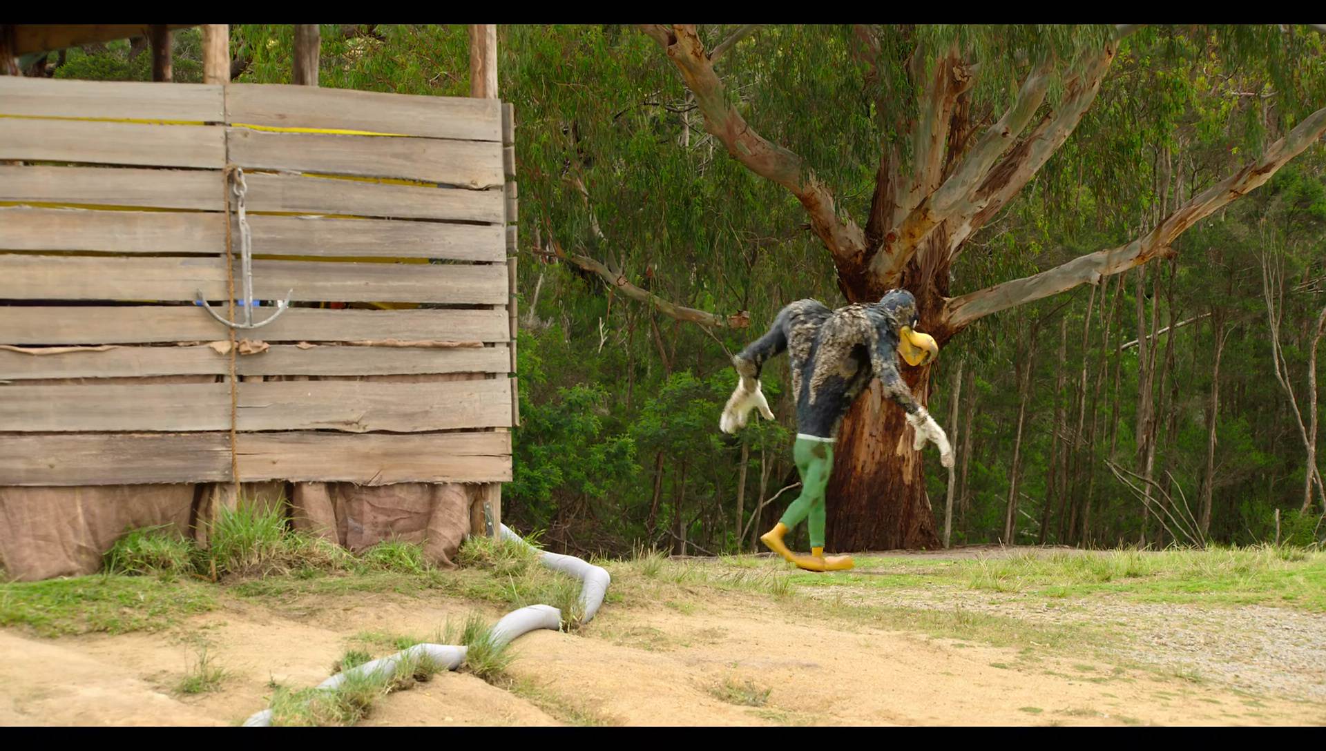 Woody Woodpecker Goes to Camp (2024) screencap 3483