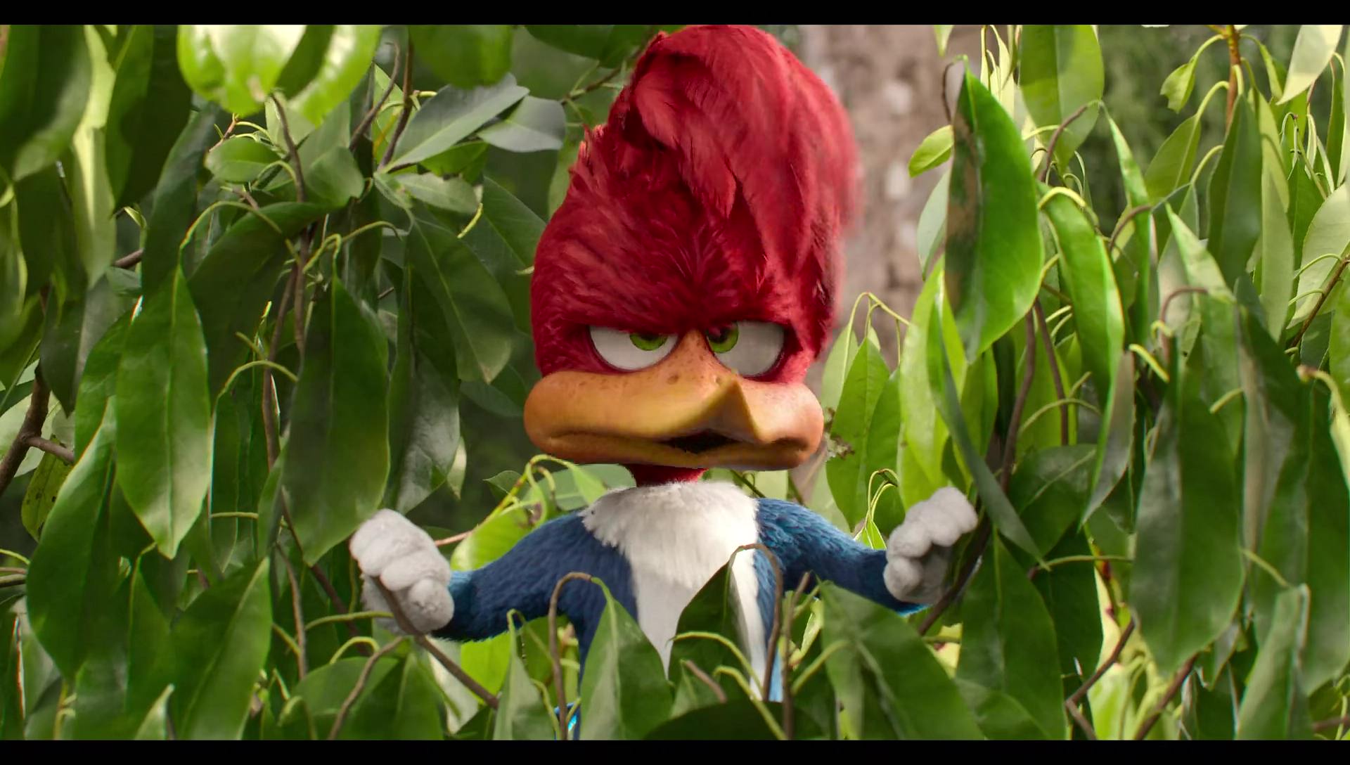 Woody Woodpecker Goes to Camp (2024) movie still 37