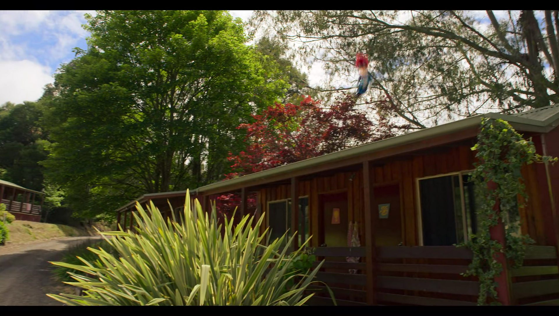 Woody Woodpecker Goes to Camp (2024) HD screenshot 377