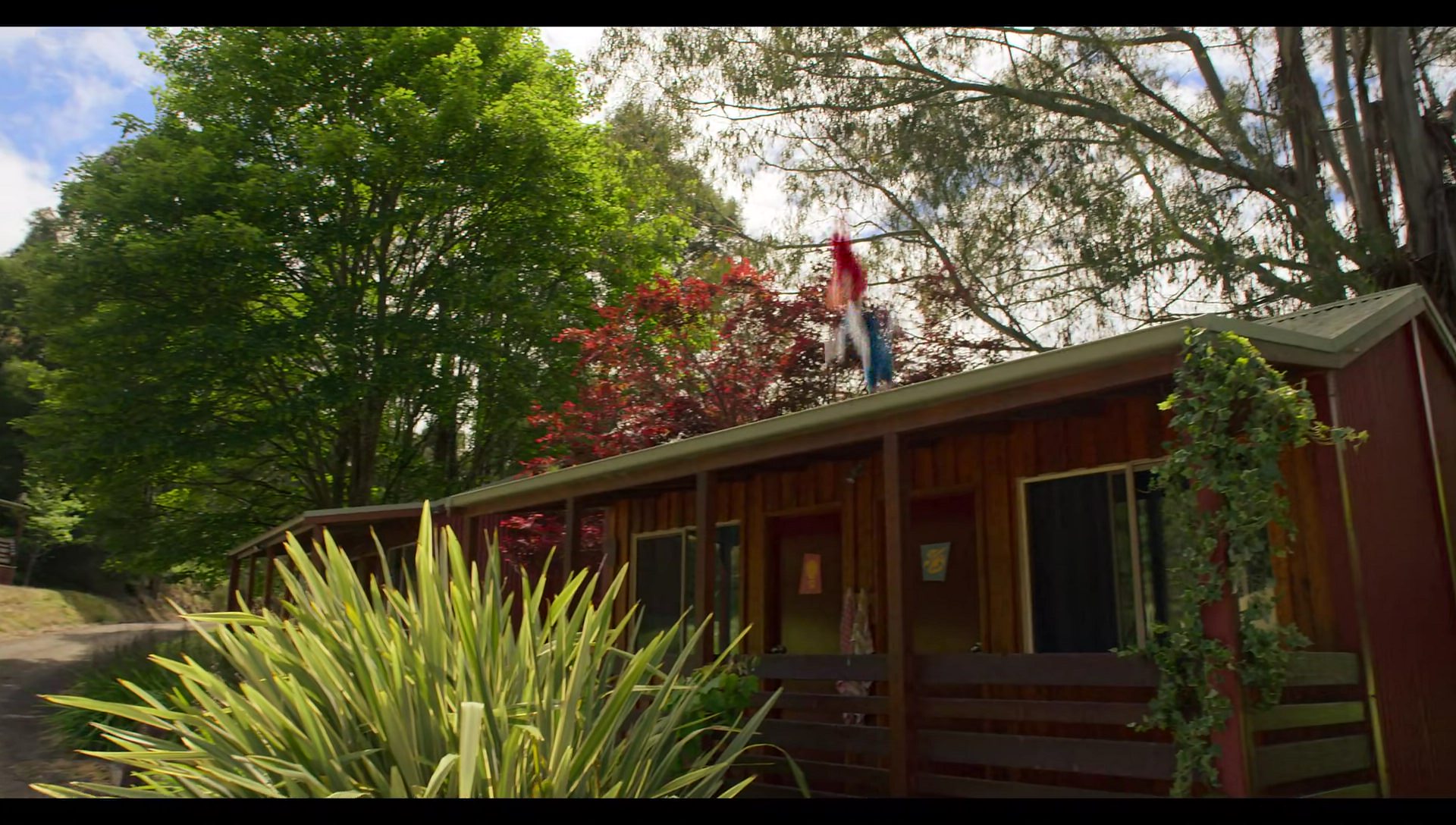 Woody Woodpecker Goes to Camp (2024) screencap 378