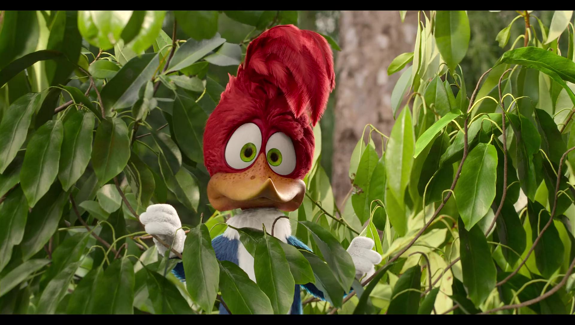 Woody Woodpecker Goes to Camp (2024) movie still 40
