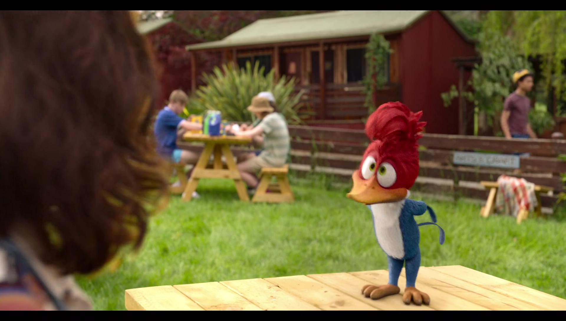 Woody Woodpecker Goes to Camp (2024) movie still 403
