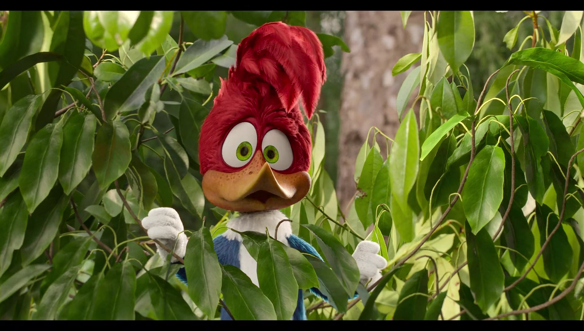 Woody Woodpecker Goes to Camp (2024) HD screenshot 41