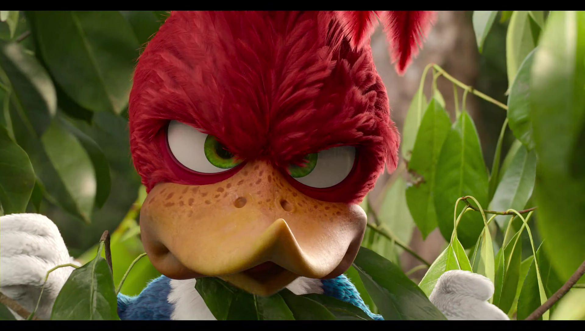 Woody Woodpecker Goes to Camp (2024) screencap 42