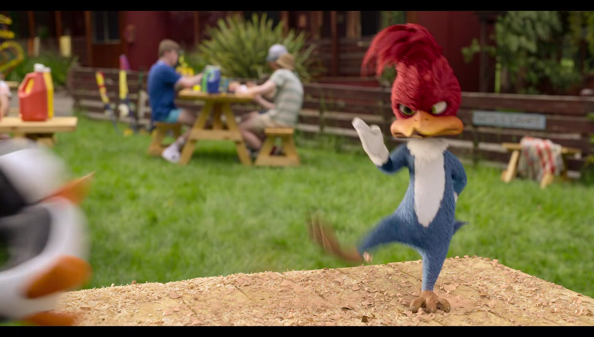 Woody Woodpecker Goes to Camp (2024) movie still 430