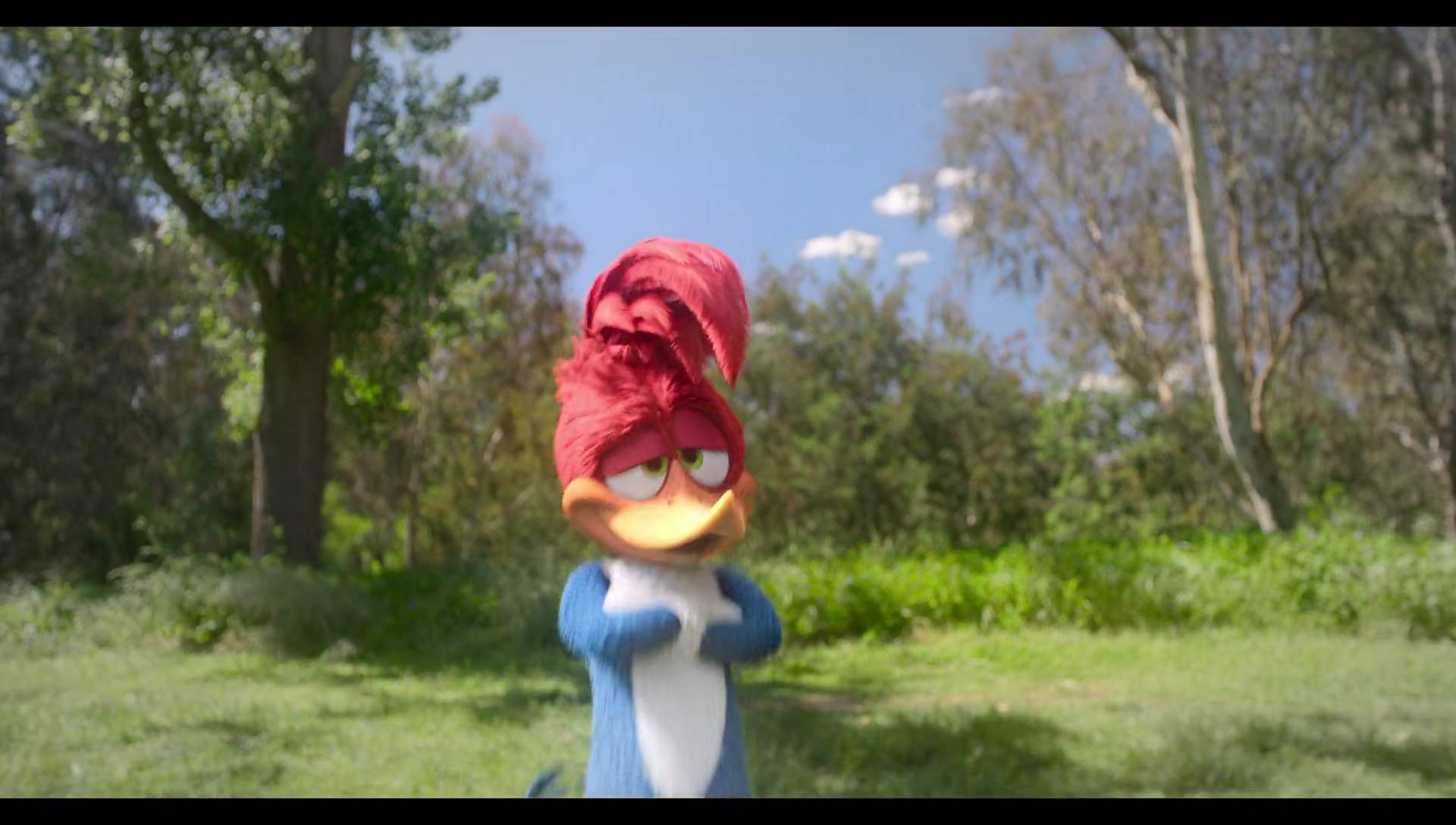 Woody Woodpecker Goes to Camp (2024) movie still 4888