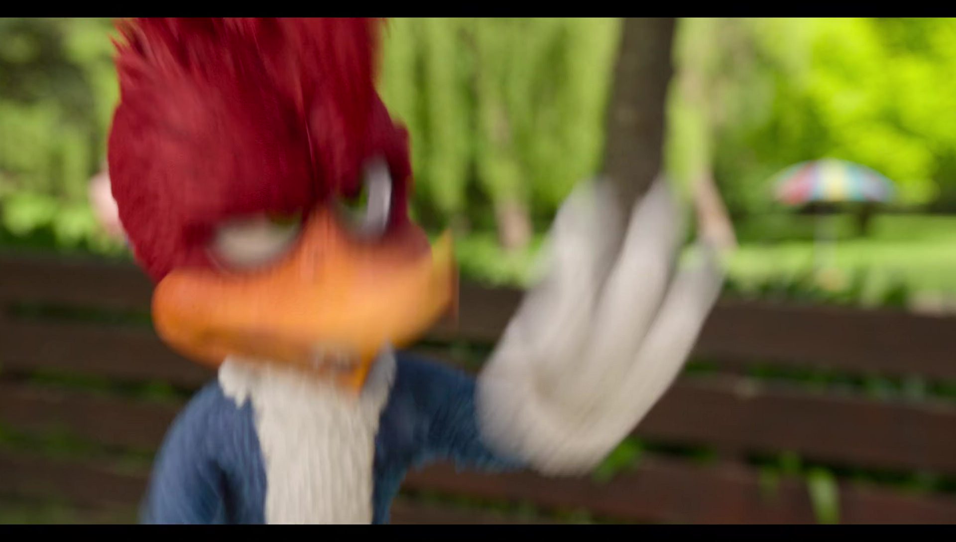 Woody Woodpecker Goes to Camp (2024) screencap 537