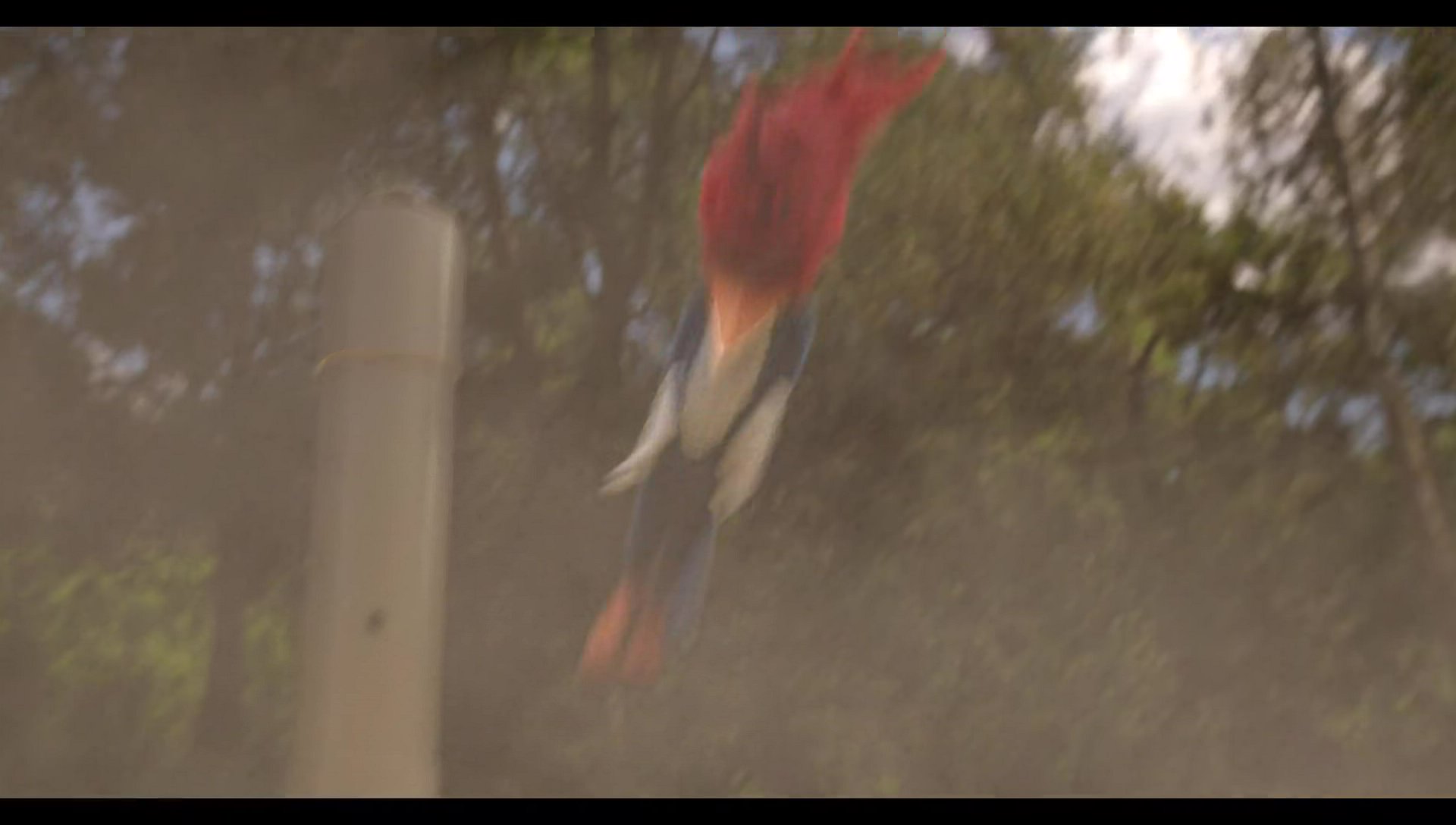 Woody Woodpecker Goes to Camp (2024) HD screenshot 56