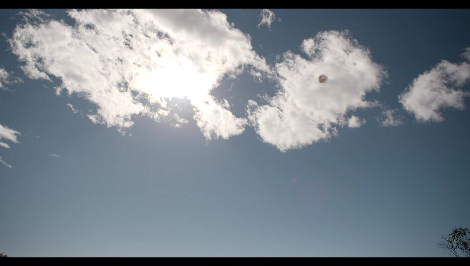 Woody Woodpecker Goes to Camp (2024) HD screenshot 6329