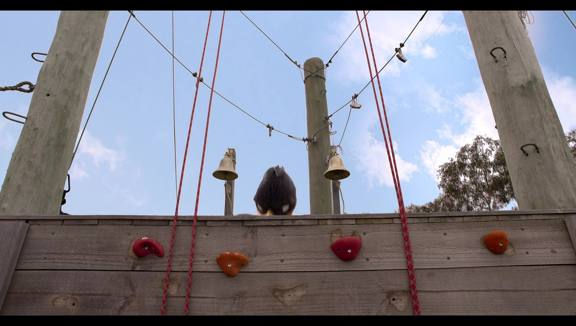 Woody Woodpecker Goes to Camp (2024) screencap 6447