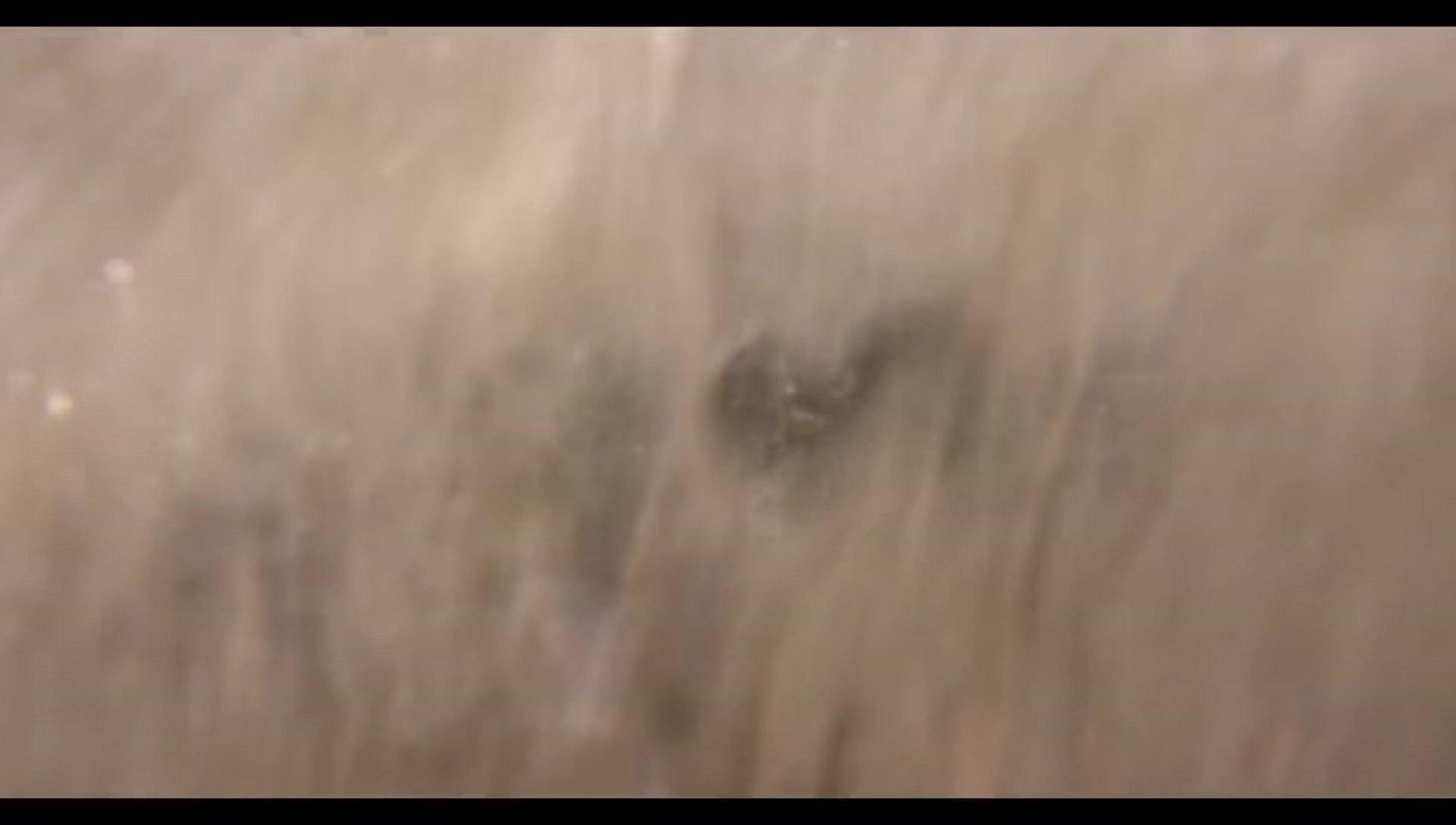 Woody Woodpecker Goes to Camp (2024) HD screenshot 65