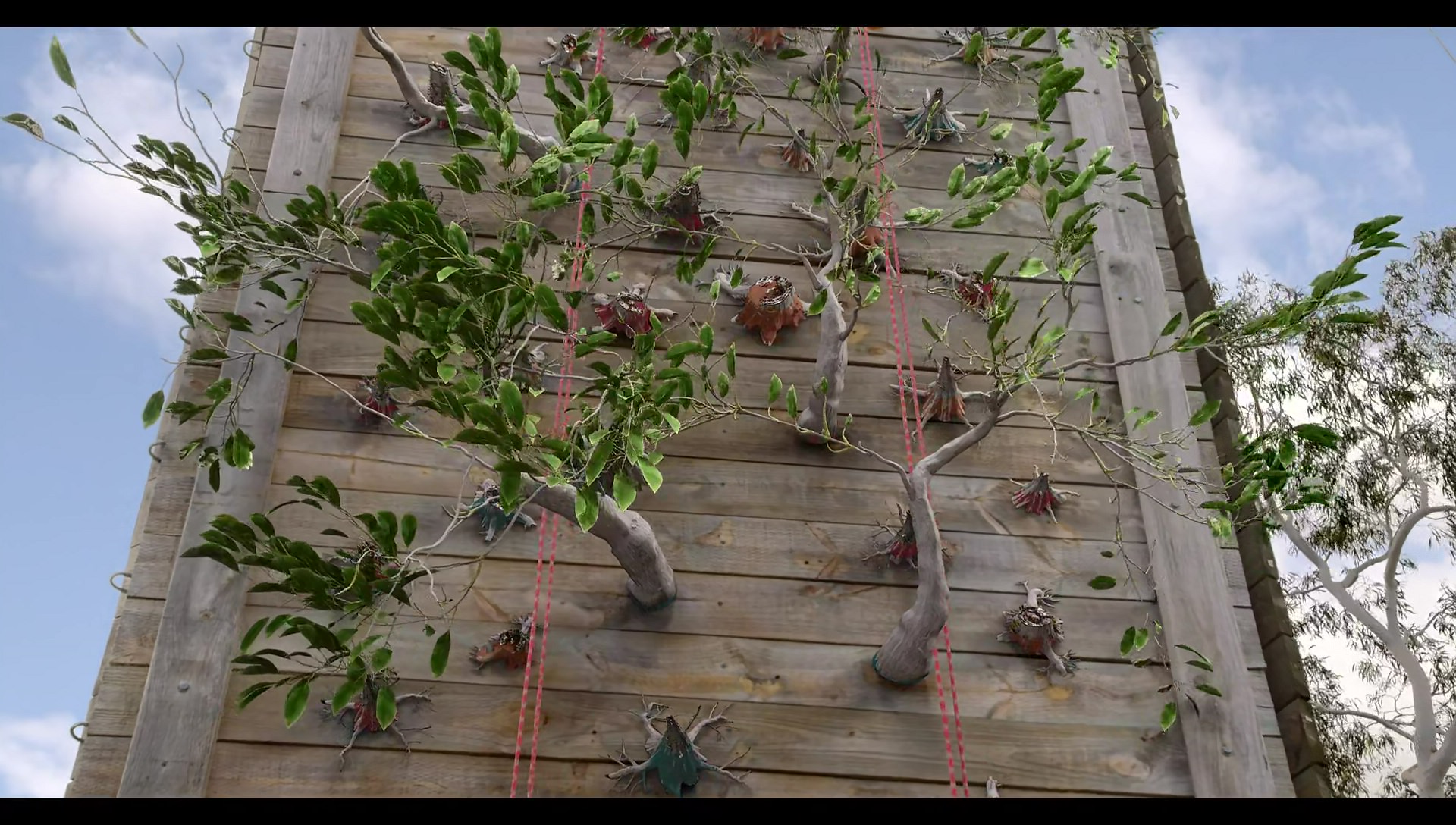 Woody Woodpecker Goes to Camp (2024) HD screenshot 6542